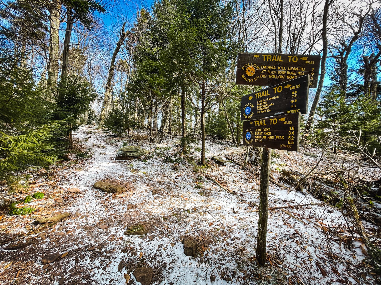 trail signage in snowy forest