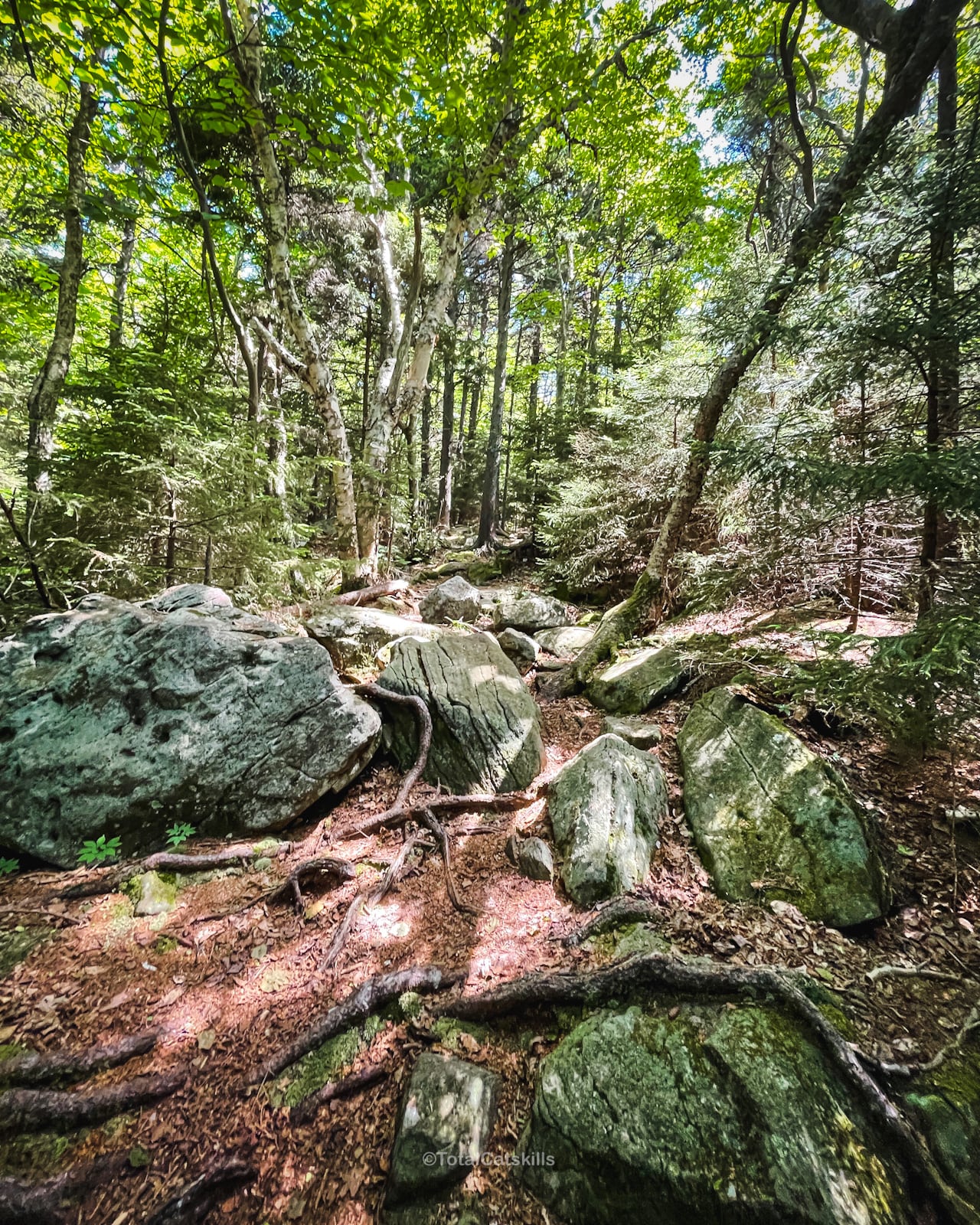 rugged boulder-filled trail heading to Acra Point
