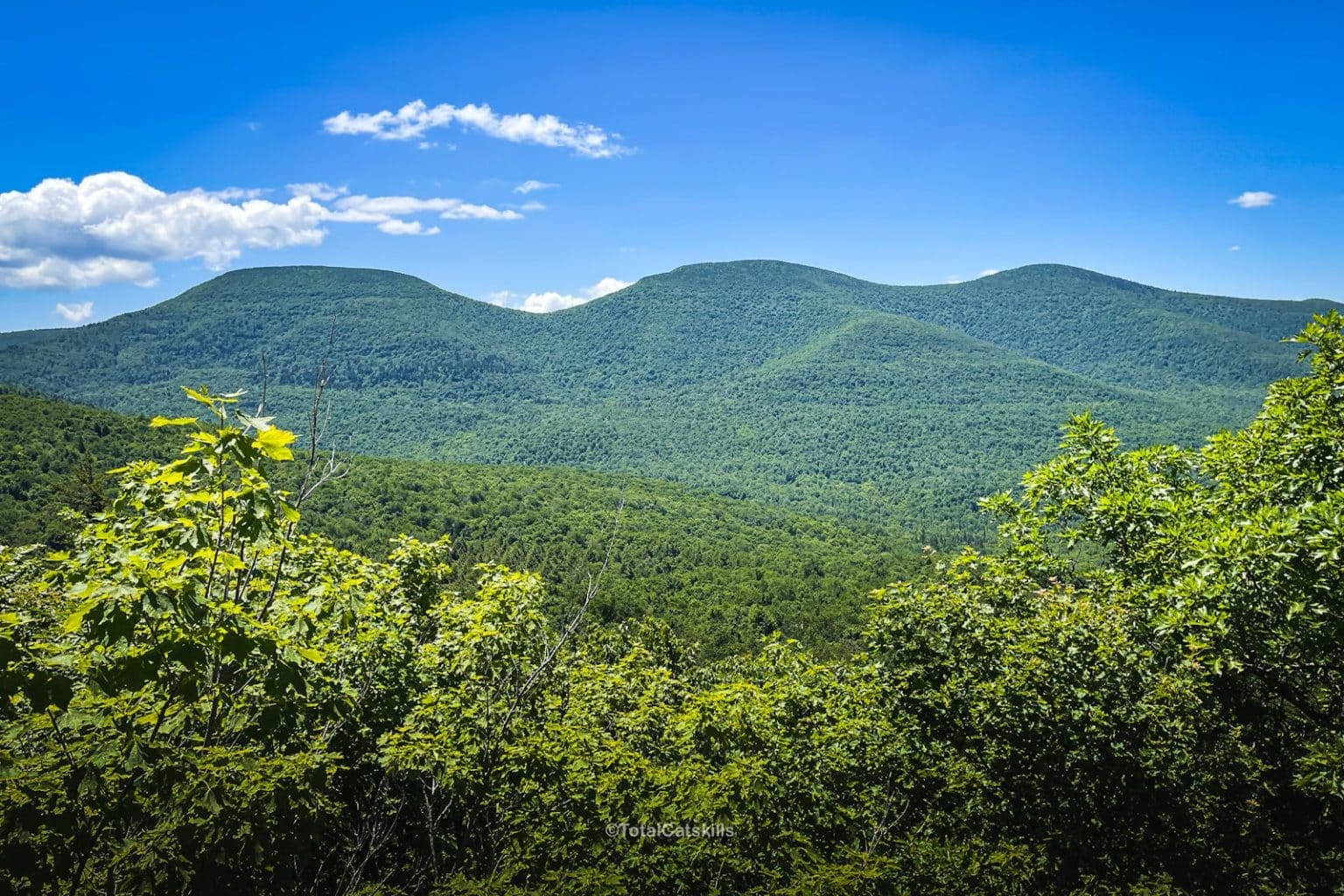 Peakbagging the Catskill 3500 High Peaks (Ultimate Guide)