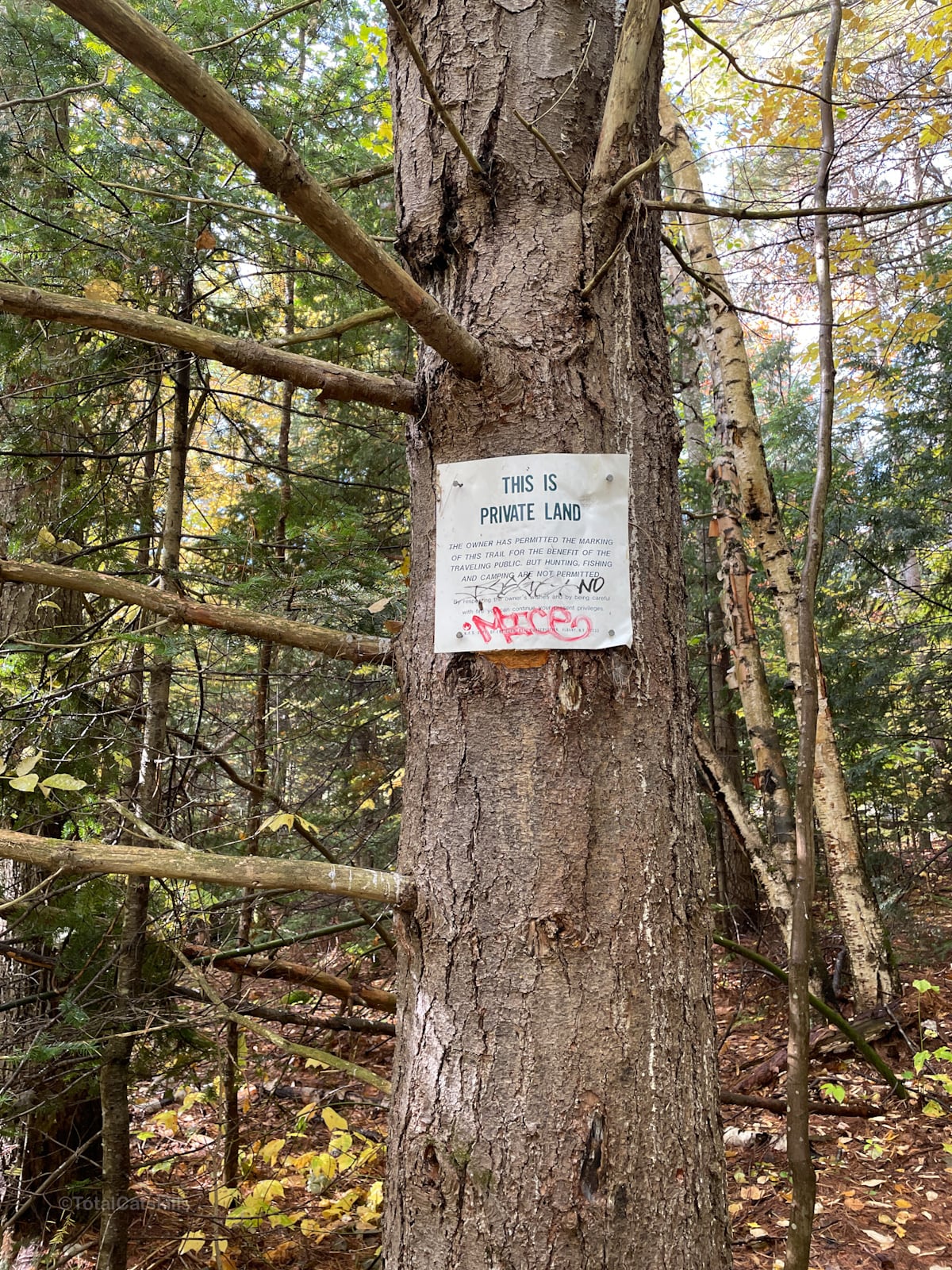 warning sign posted to tree on Baxter Mountain in the Adirondacks 