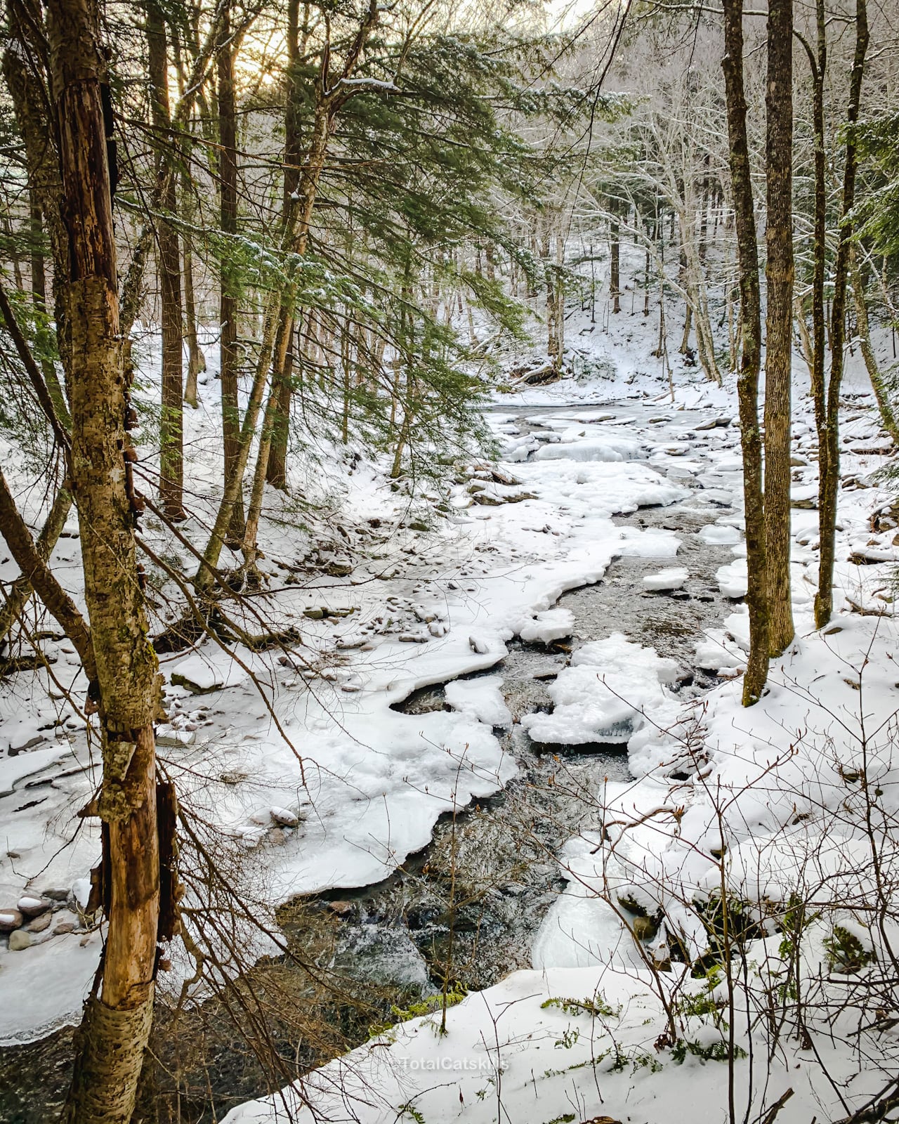 frozen river in forest / winter hiking tips to keep you safe