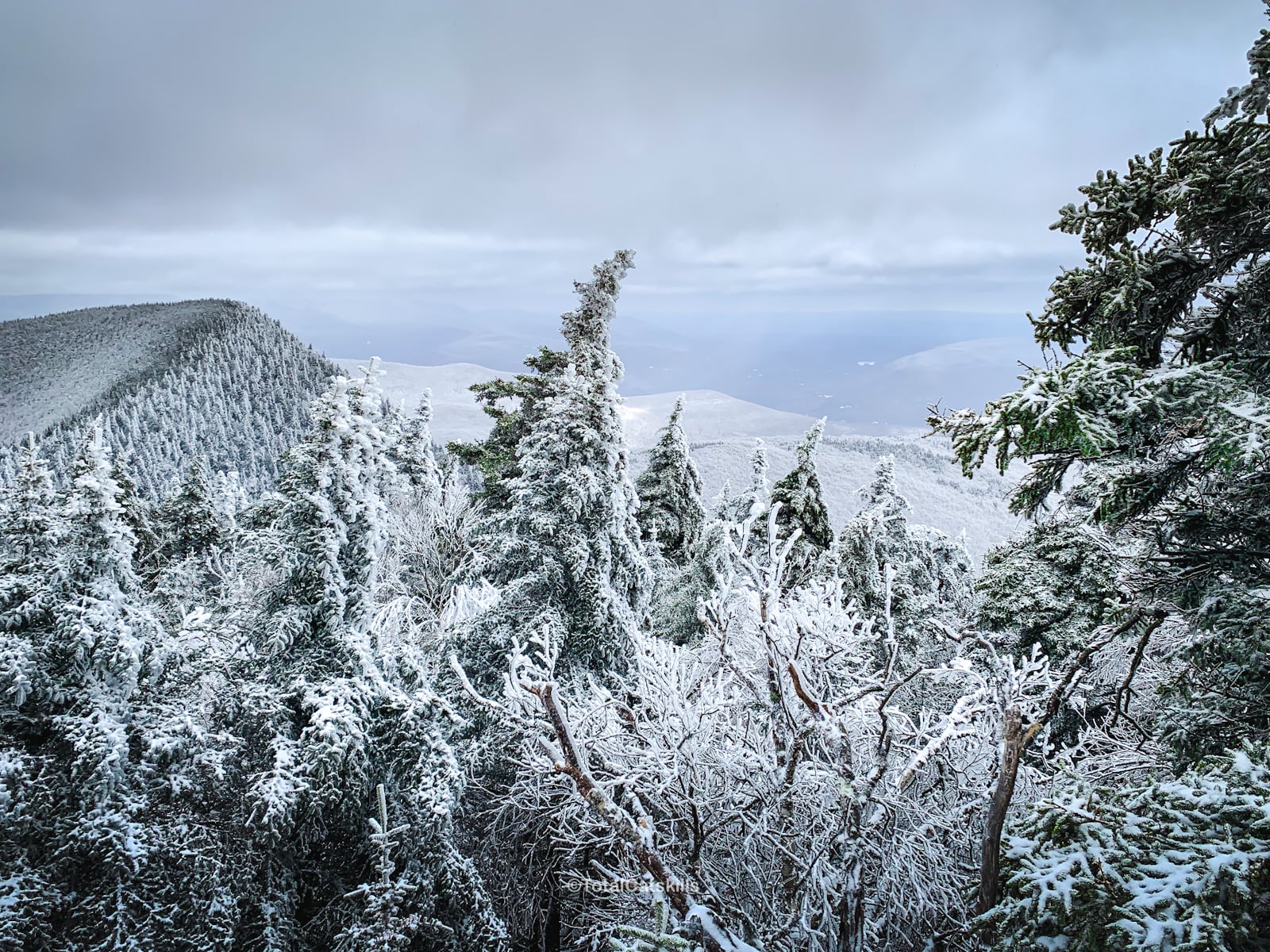 snowy mountain summit and frozen evergreen trees on a winter hike