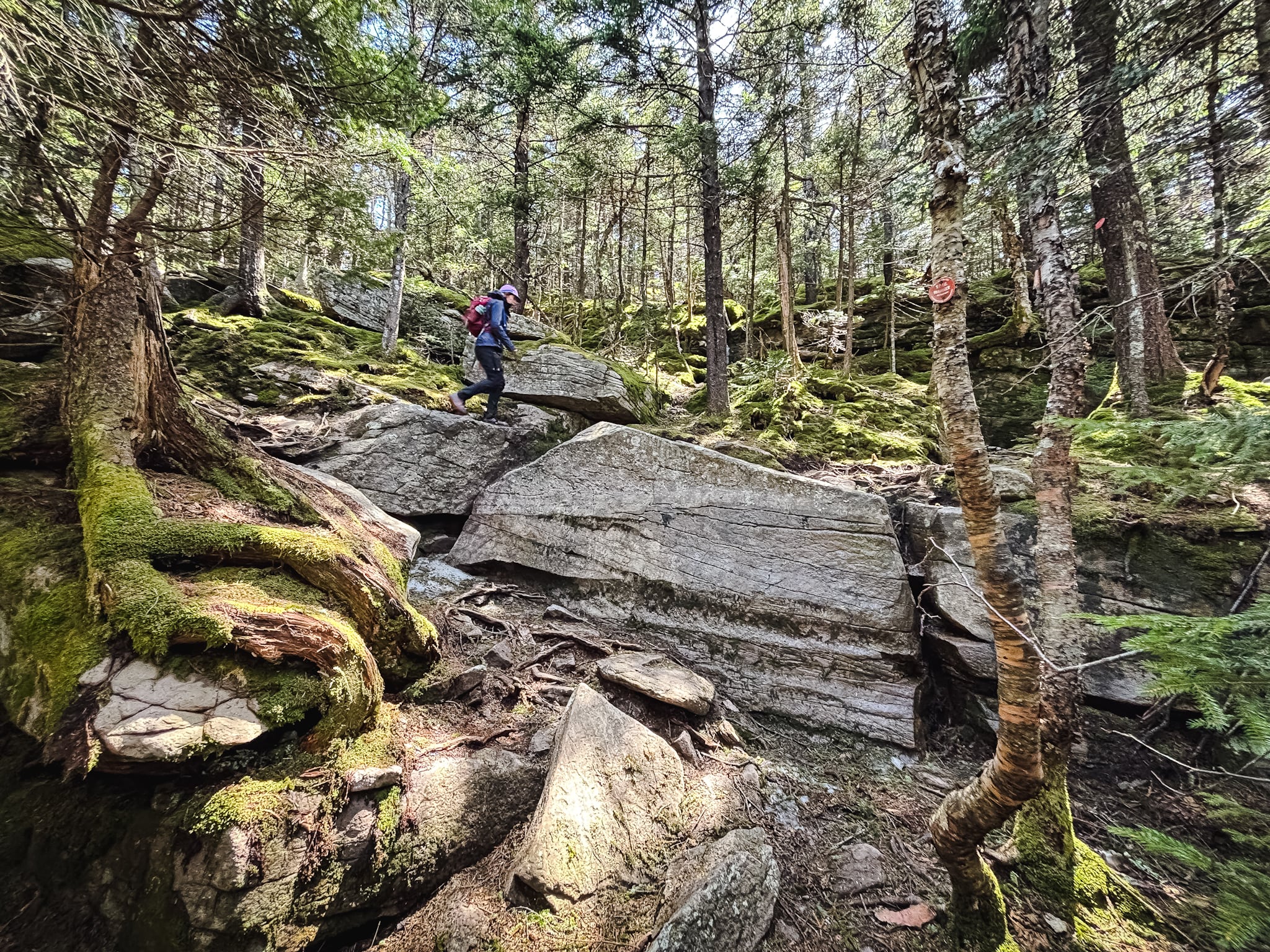 Burroughs Range Trail Loop Catskills
