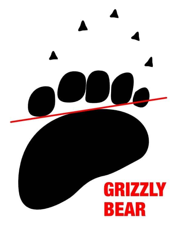 grizzly bear print diagram