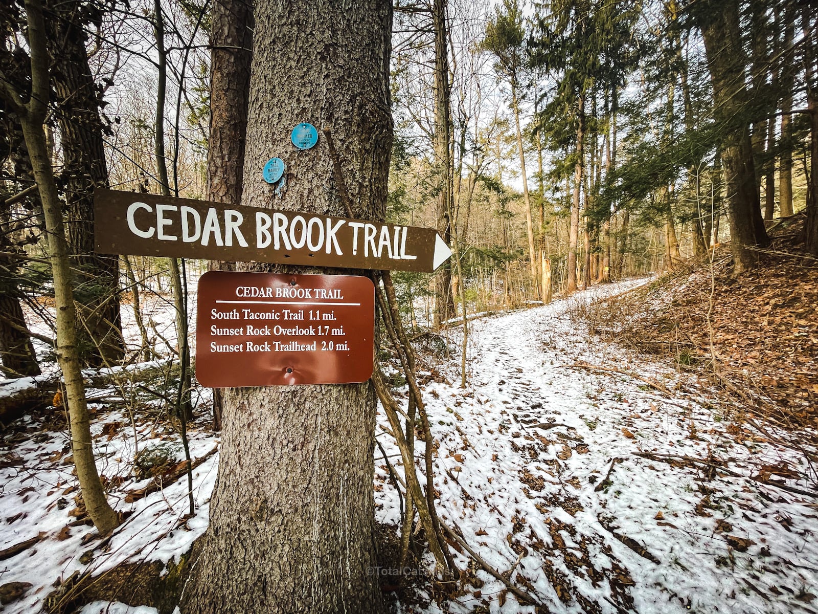 trail signage for cedar brook trail