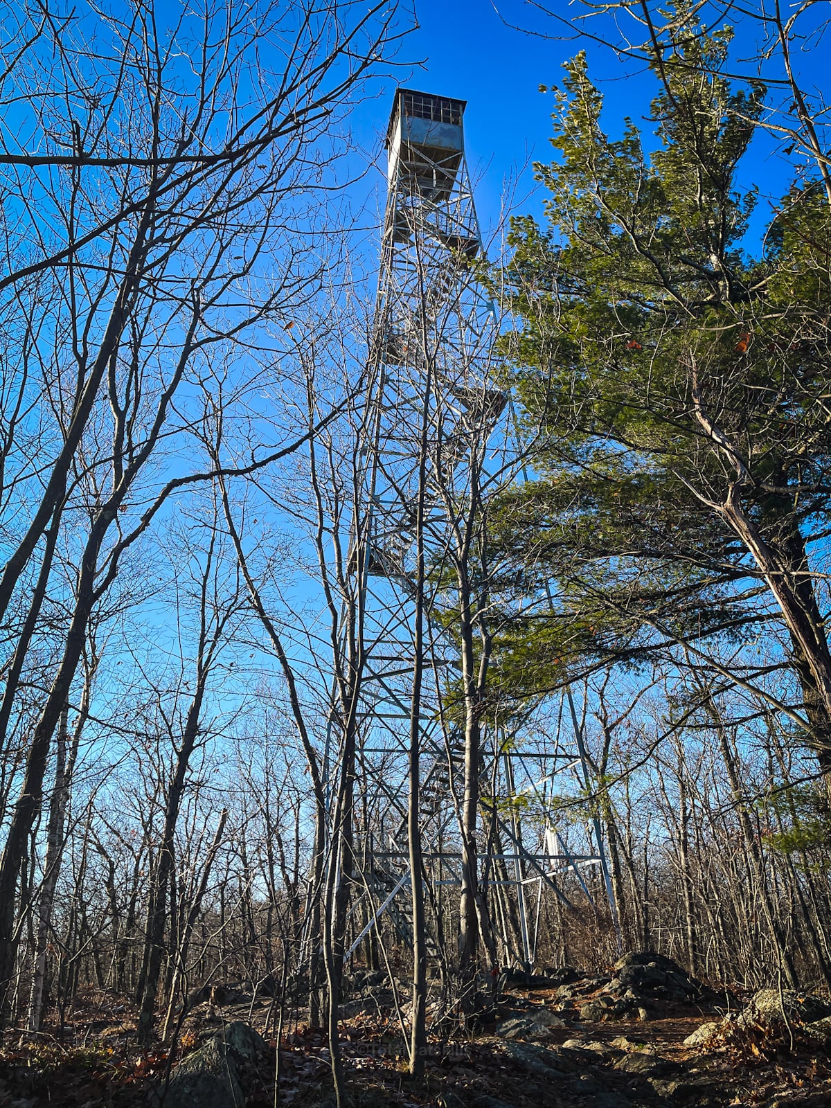 Stissing Fire Tower in spring