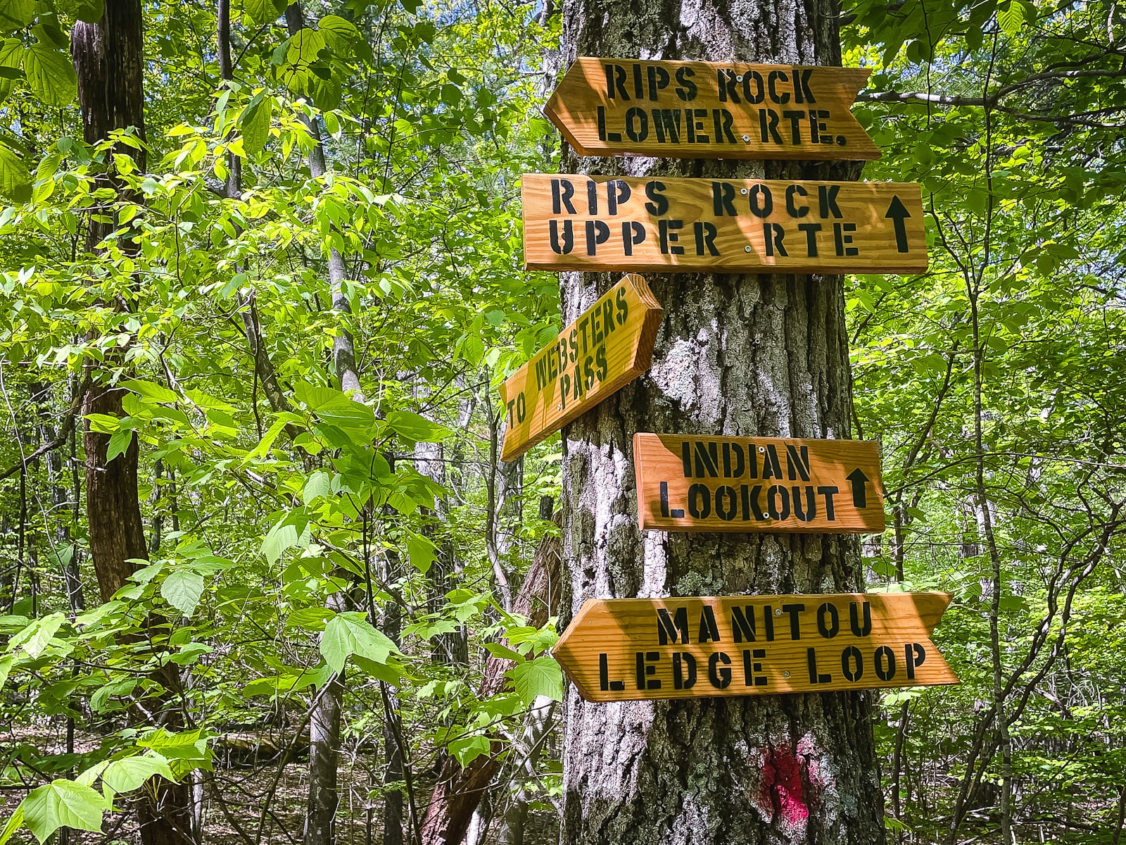 Trail sign posts near Winter Clove Inn