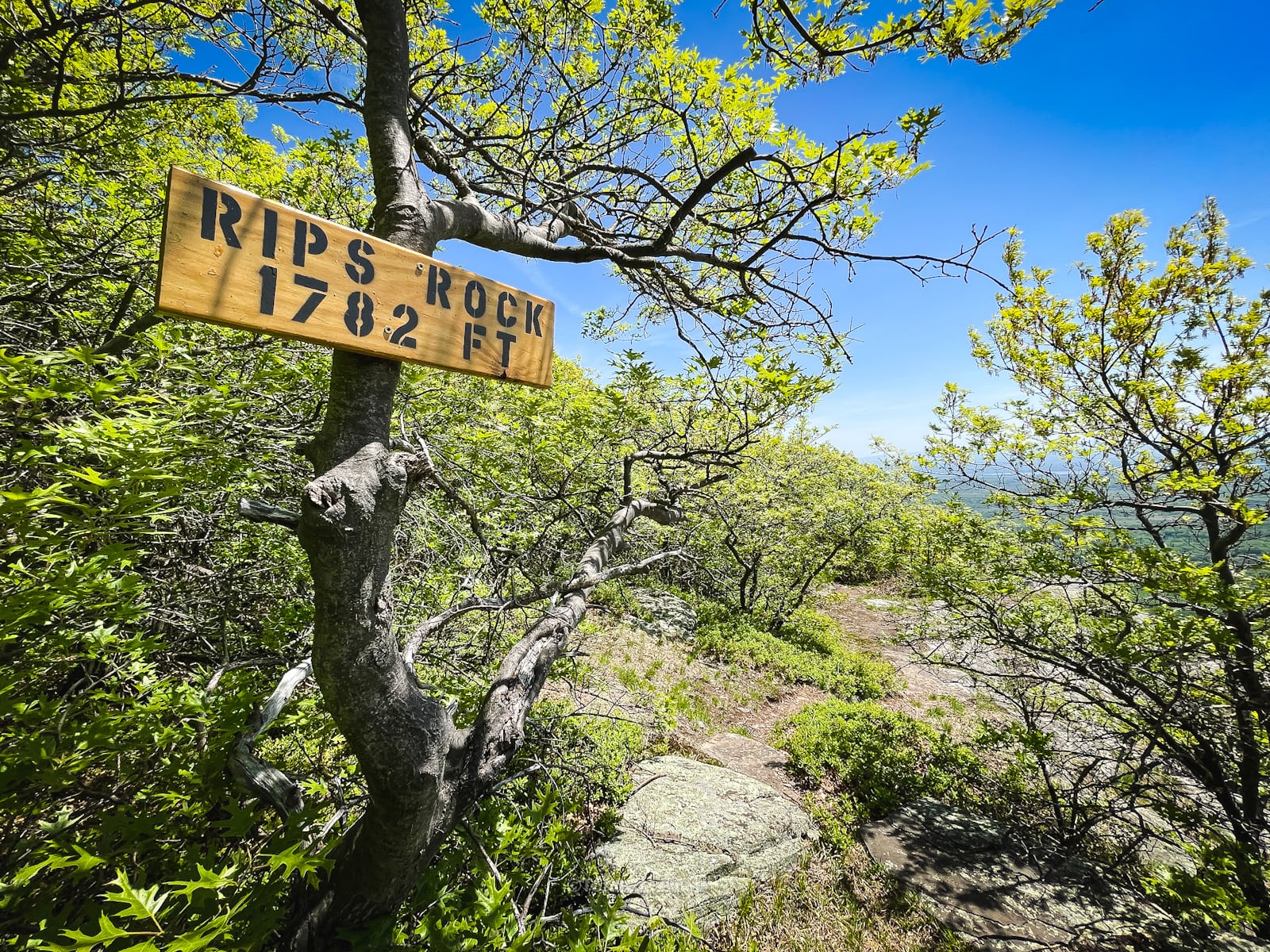 trail sign at rips rock
