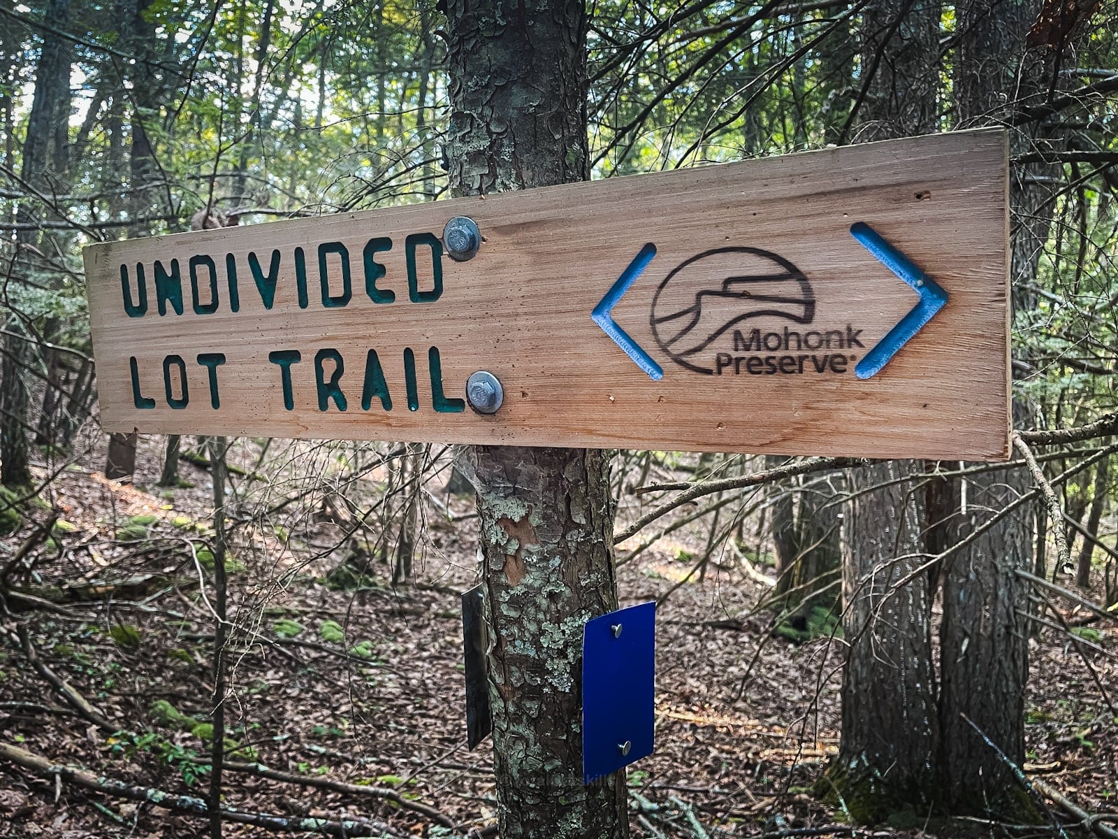 Trail signpost for Undivided Lot Trail in Mohonk Preserve