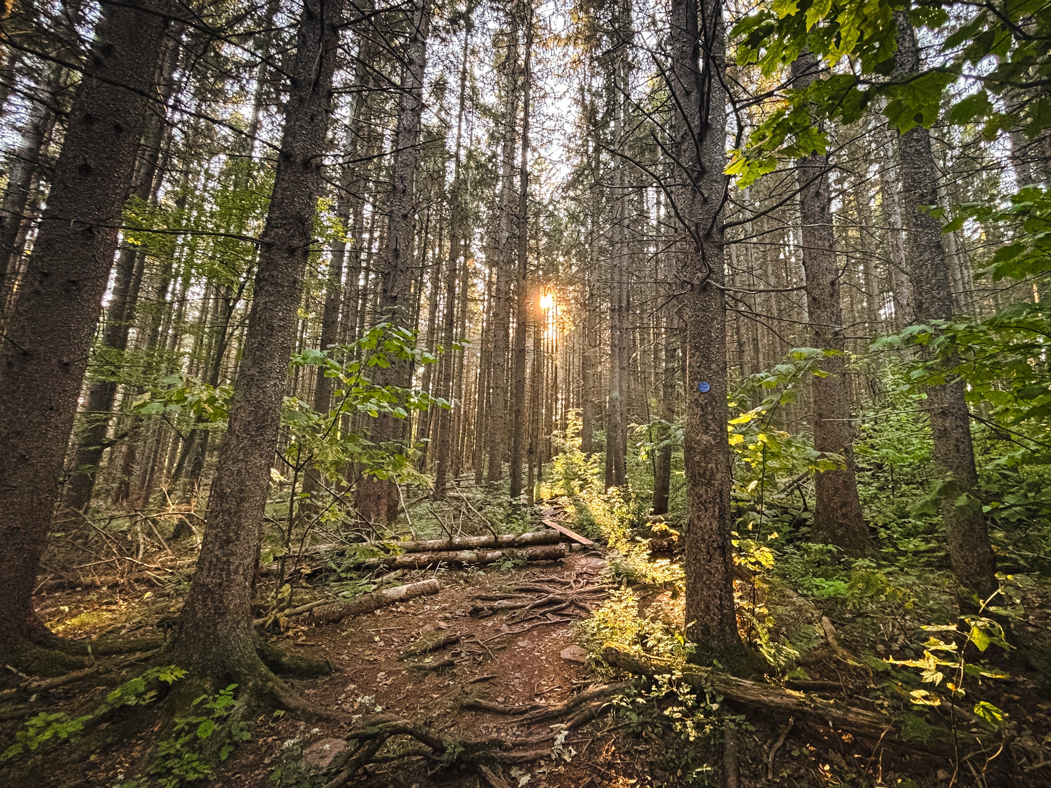 Windham High Peak Catskills Fall Foliage 2024