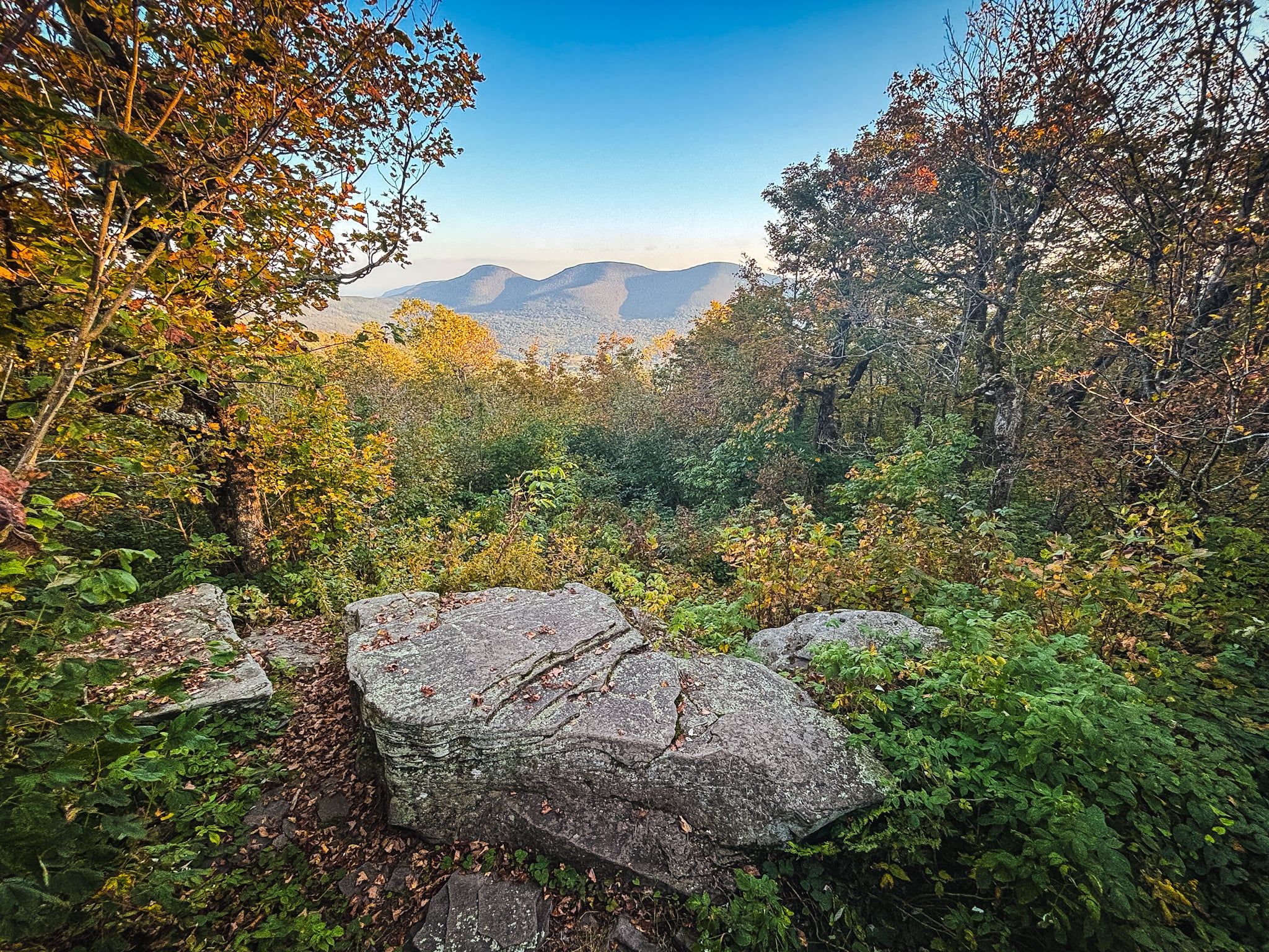 Fall Foliage 2024 Catskills and Adirondacks