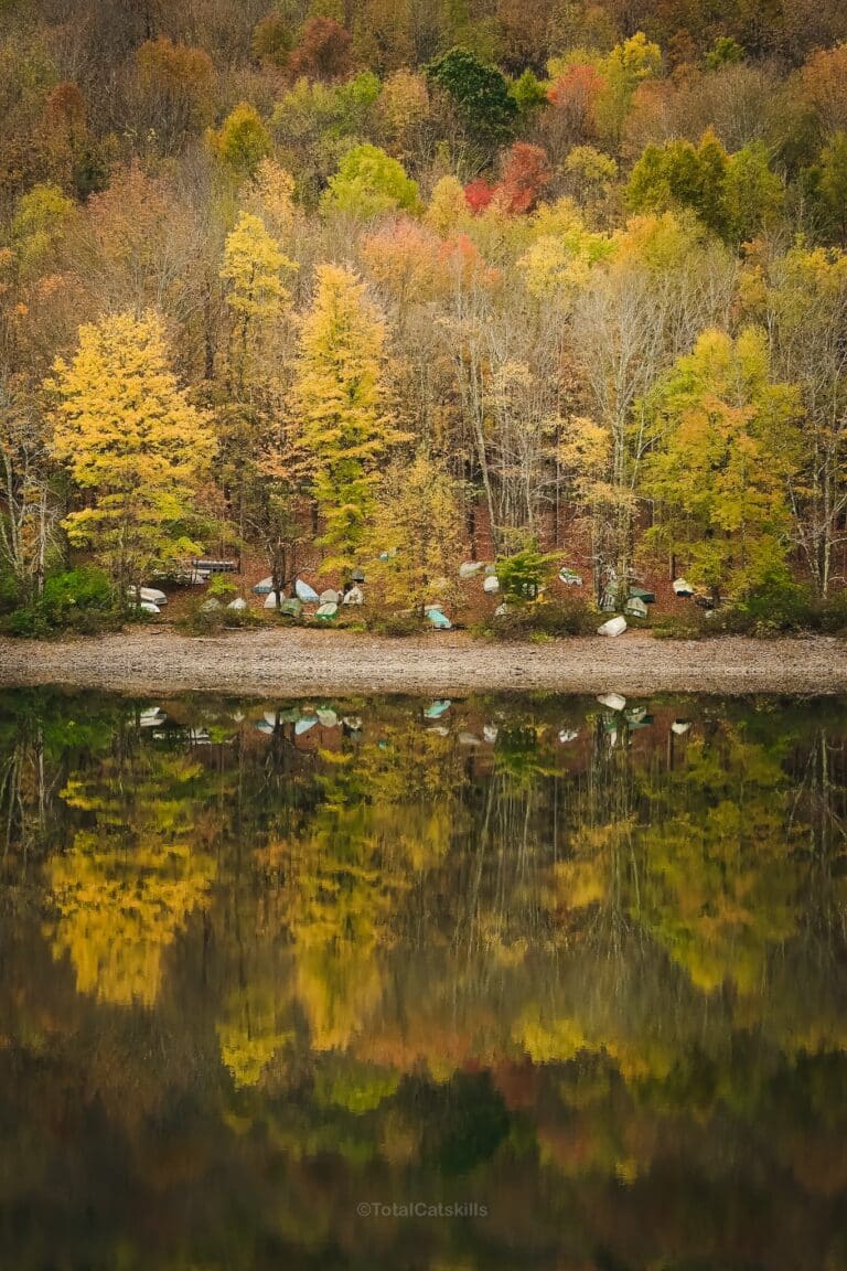 Catskills Fall Foliage Reports 2024