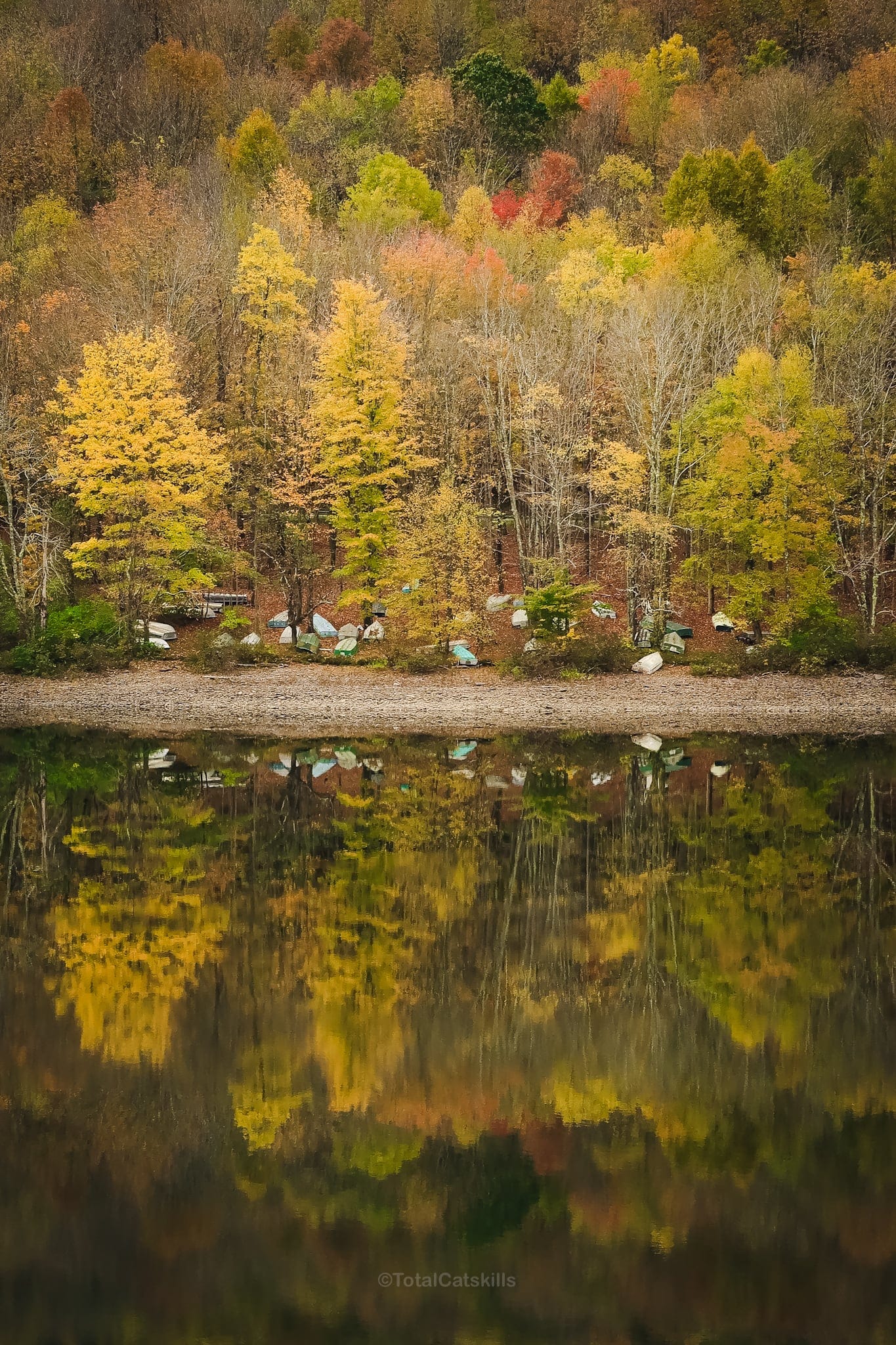 Fall Foliage Catskills