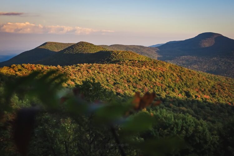 Catskills Fall Foliage Reports 2024