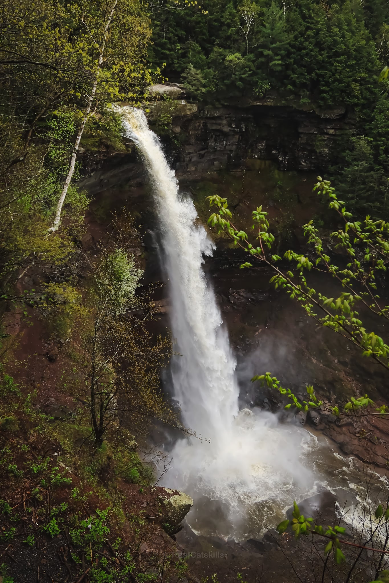 Kaaterskill Falls viewing platform