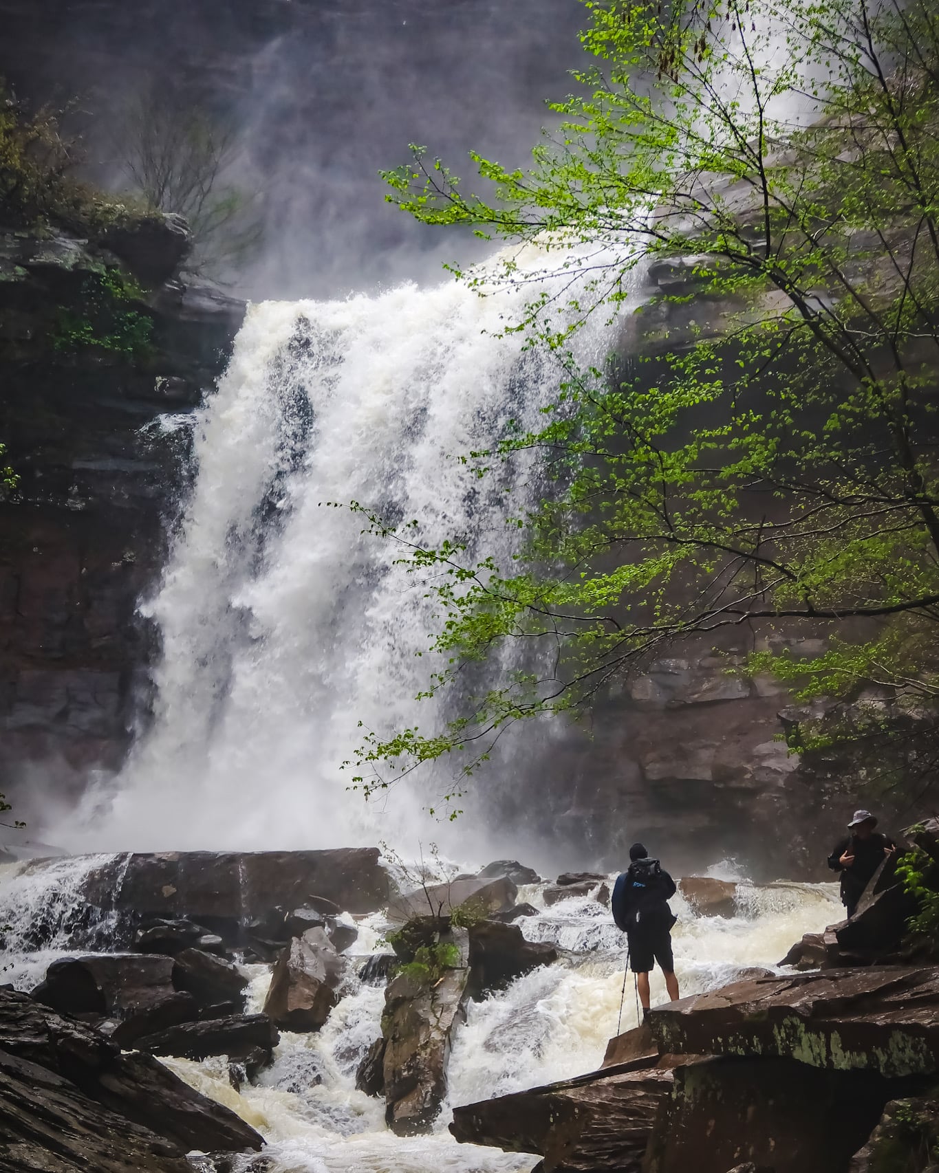 Kaaterskill Falls after rain