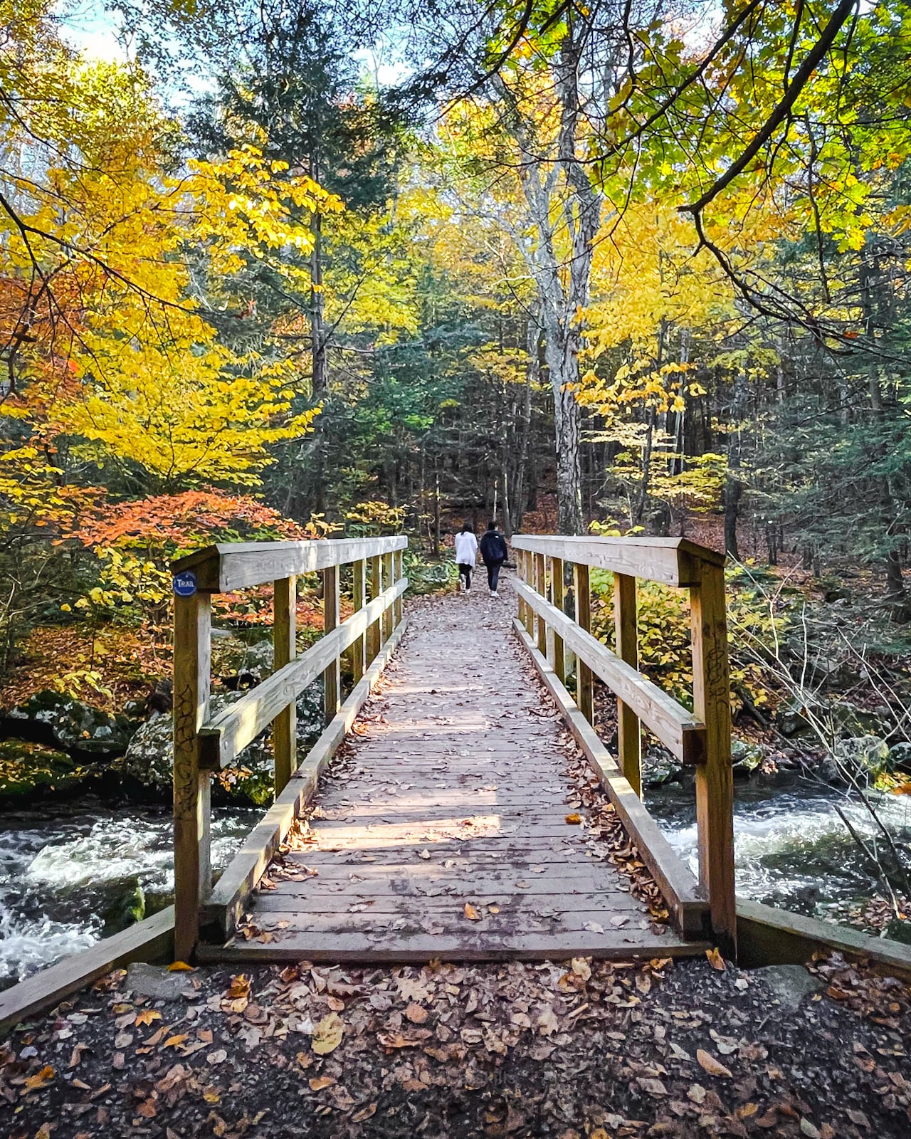 Kaaterskill Falls hike in the Catskills