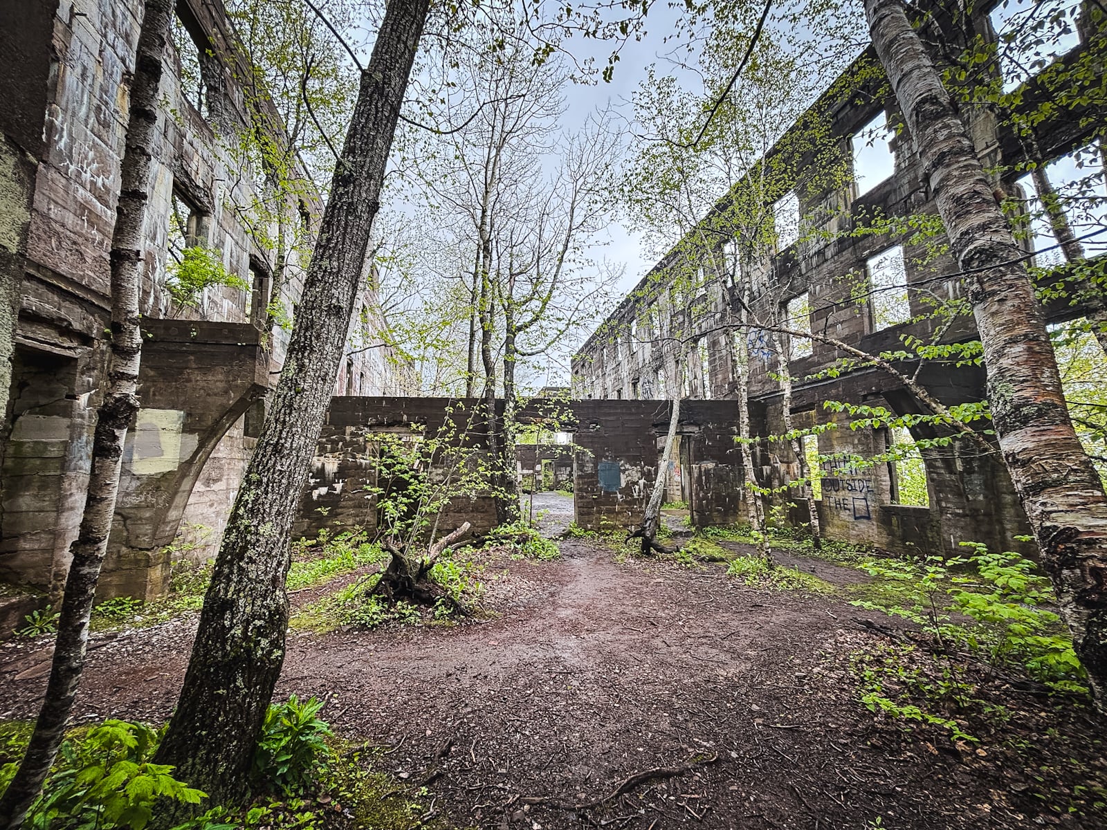 Overlook Mountain House and Fire Tower Trail
