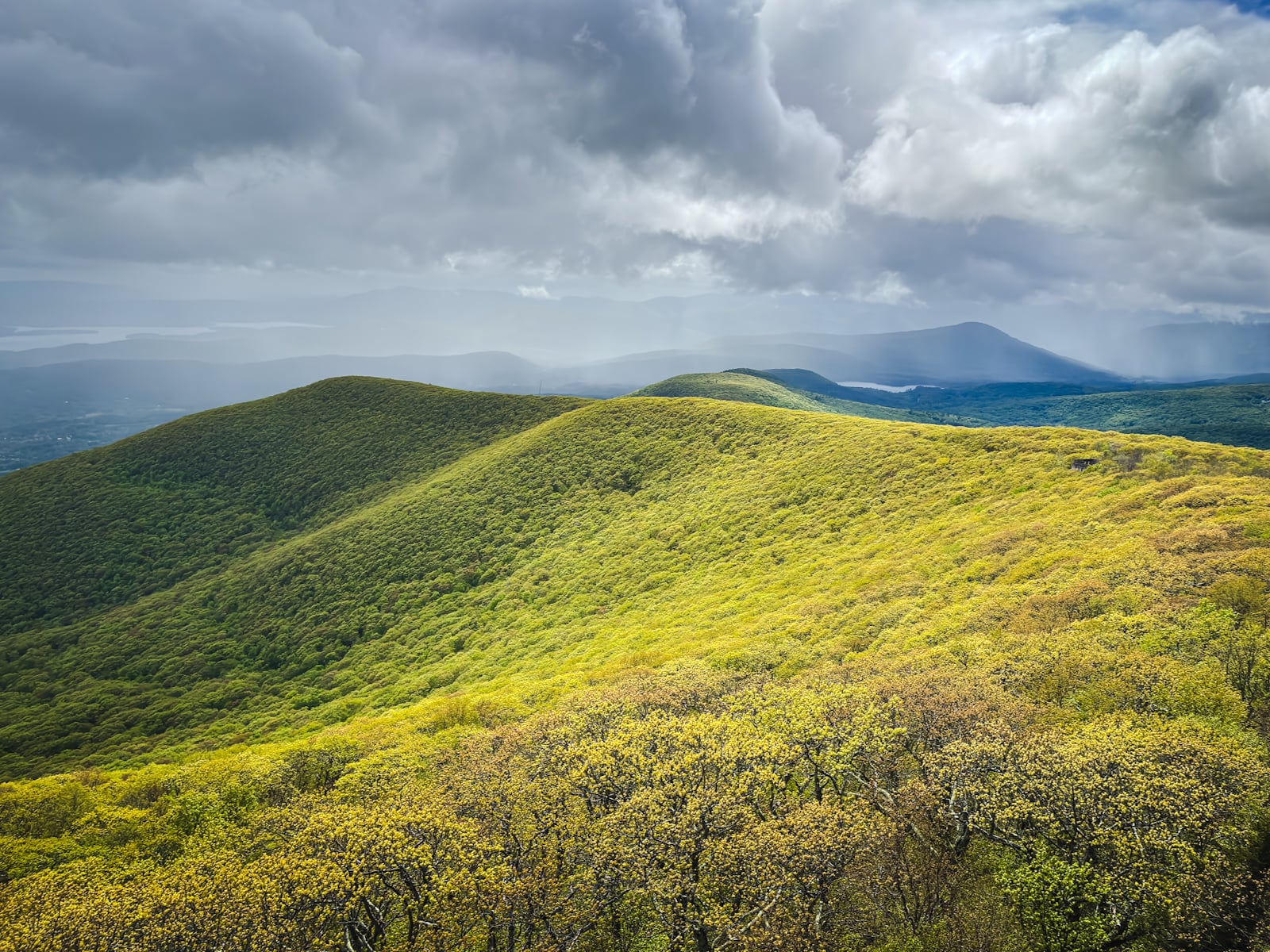 Overlook Mountain House and Fire Tower Trail