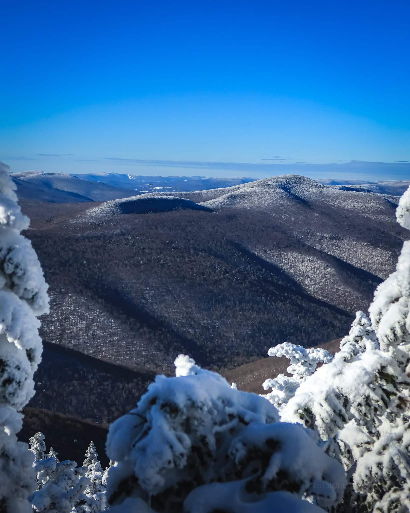 Wittenberg Cornell Woodland Valley Catskills