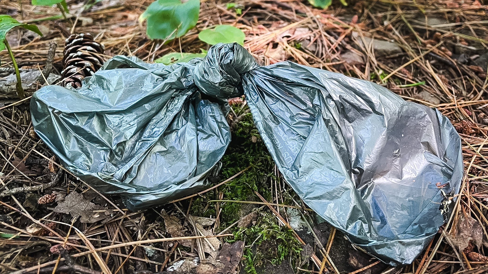 dog poop bags left on trails