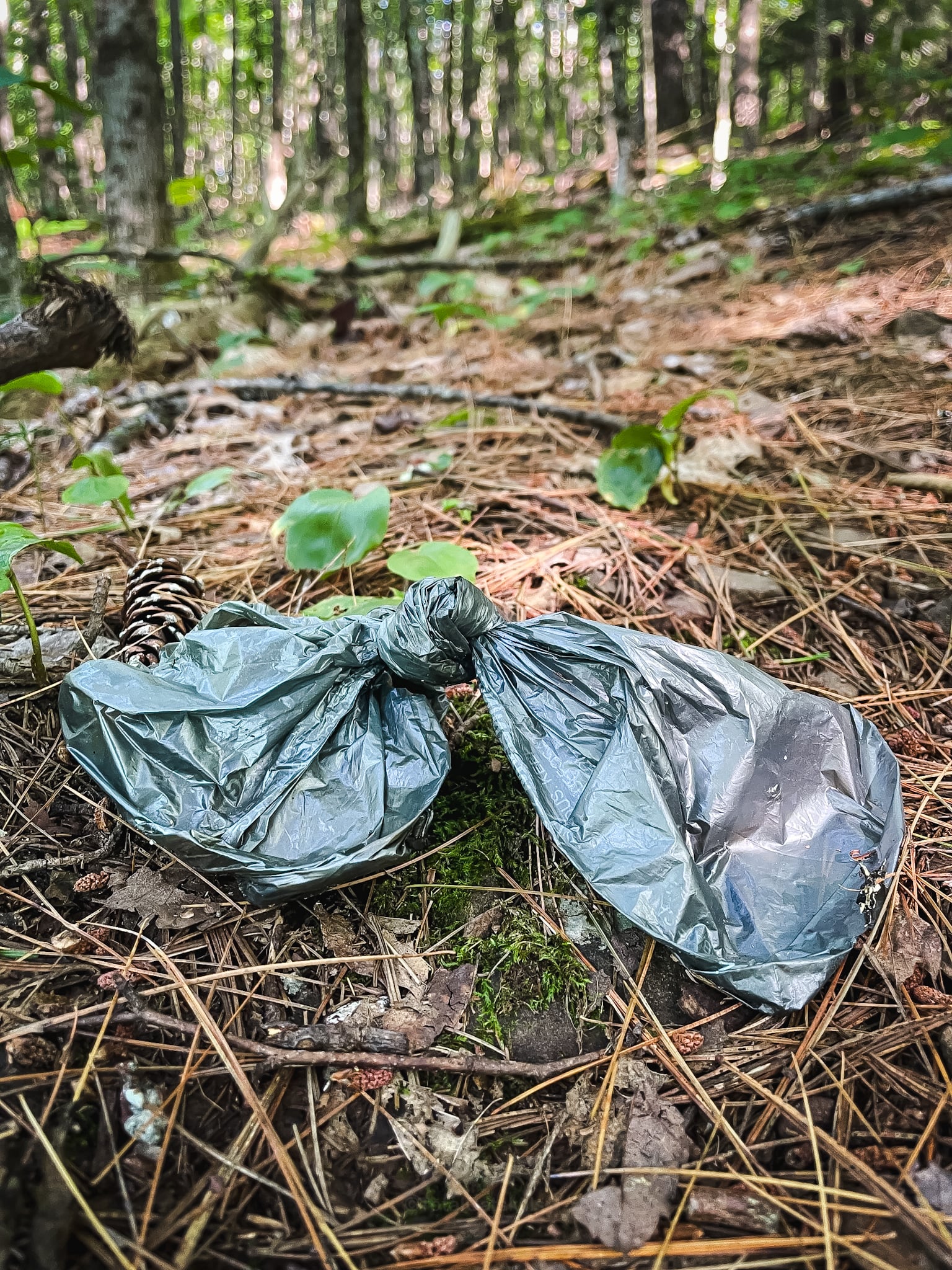 dog poop bags left on trails