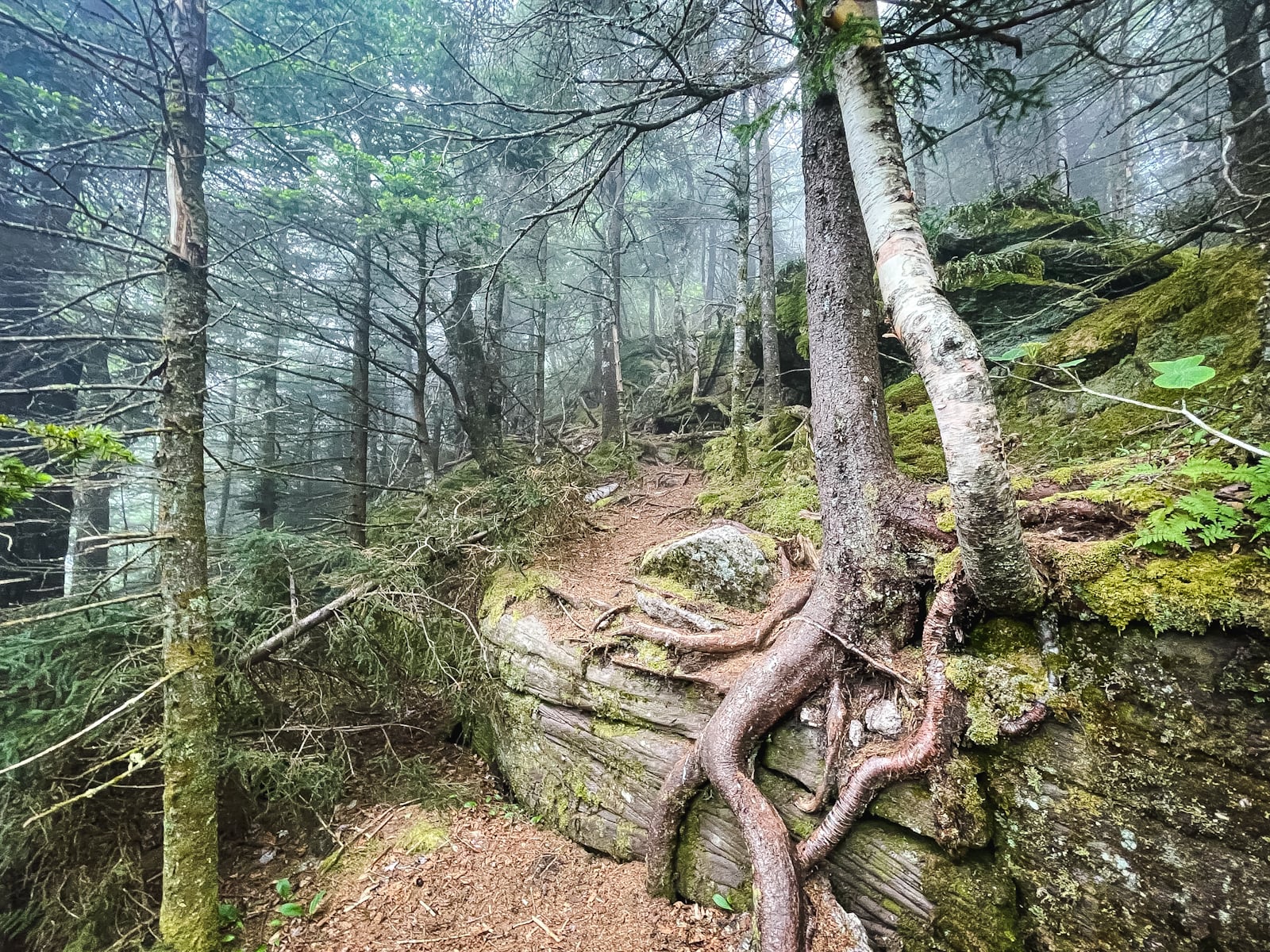 trail