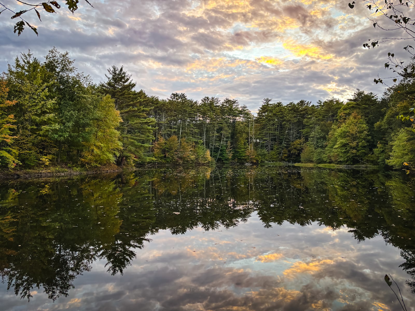 Catskills Fall Foliage 2024