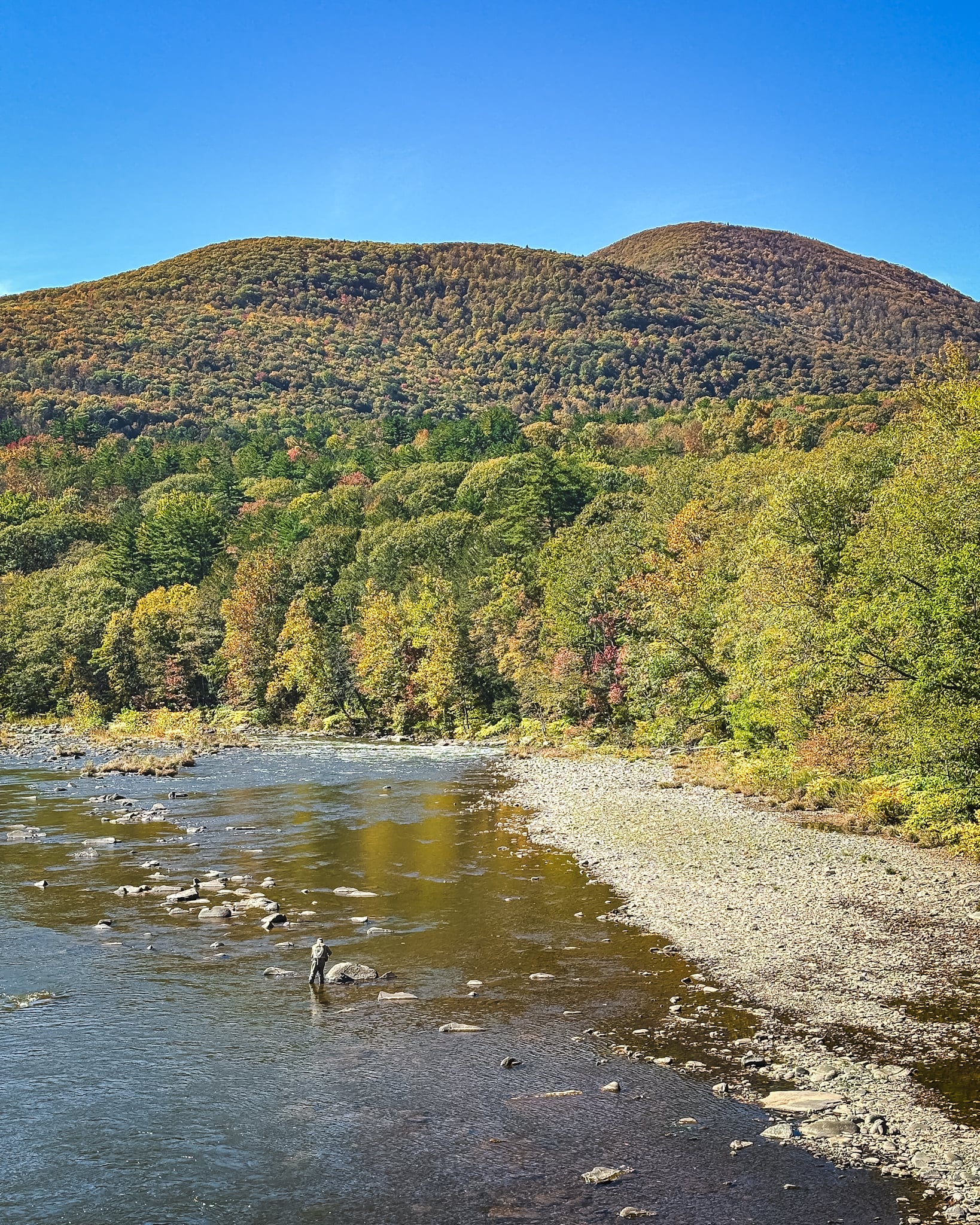 Catskills Fall Foliage 2024