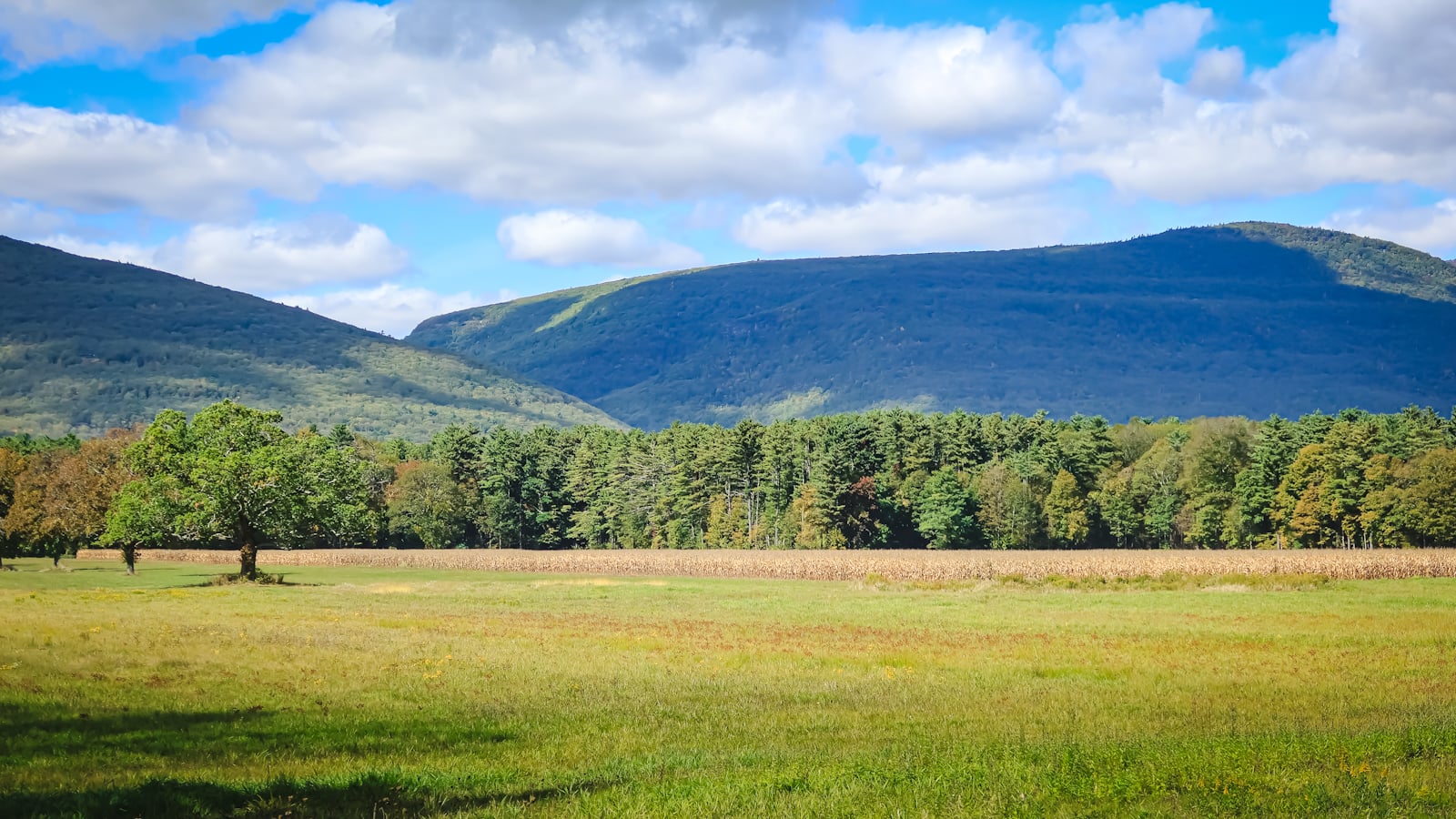 Catskills Fall Foliage 2024