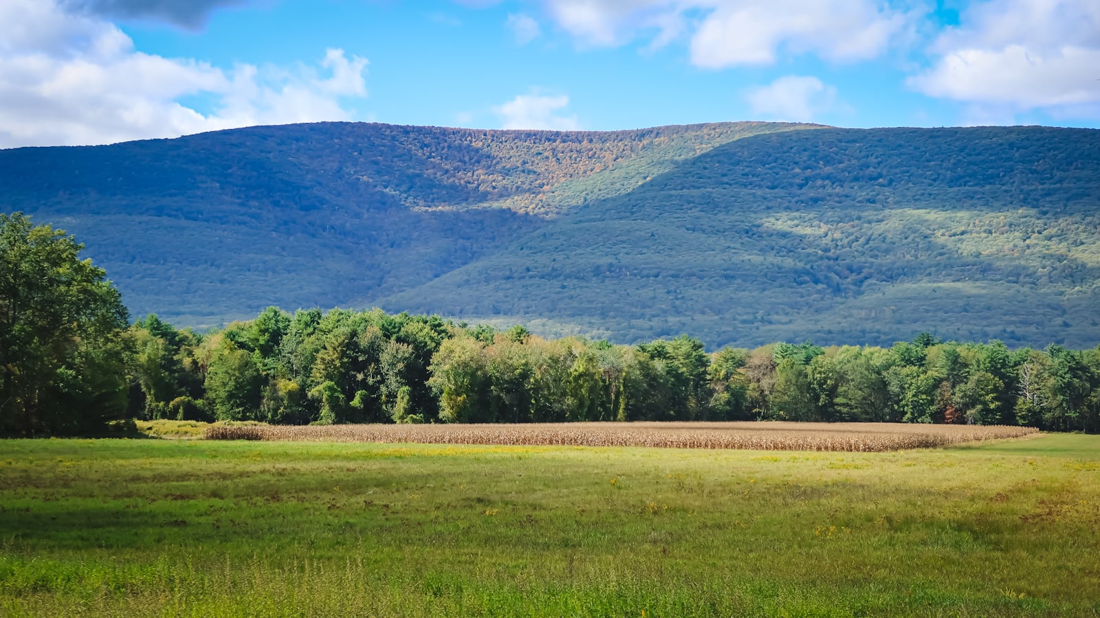 Catskills Fall Foliage 2024