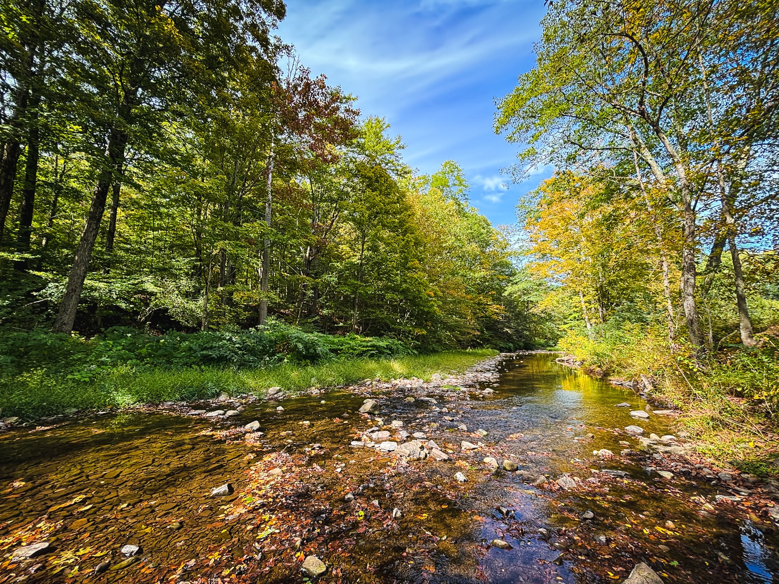 Catskills Fall Foliage 2024