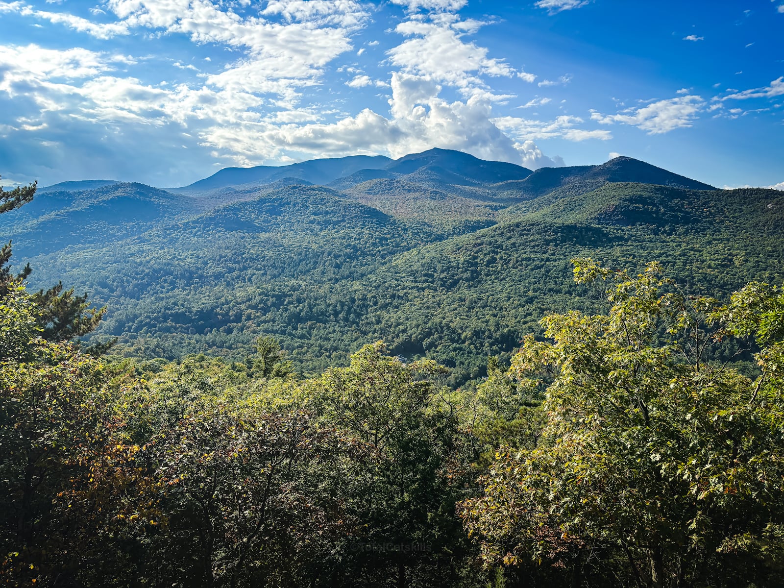 Adirondack Fall Foliage 2024