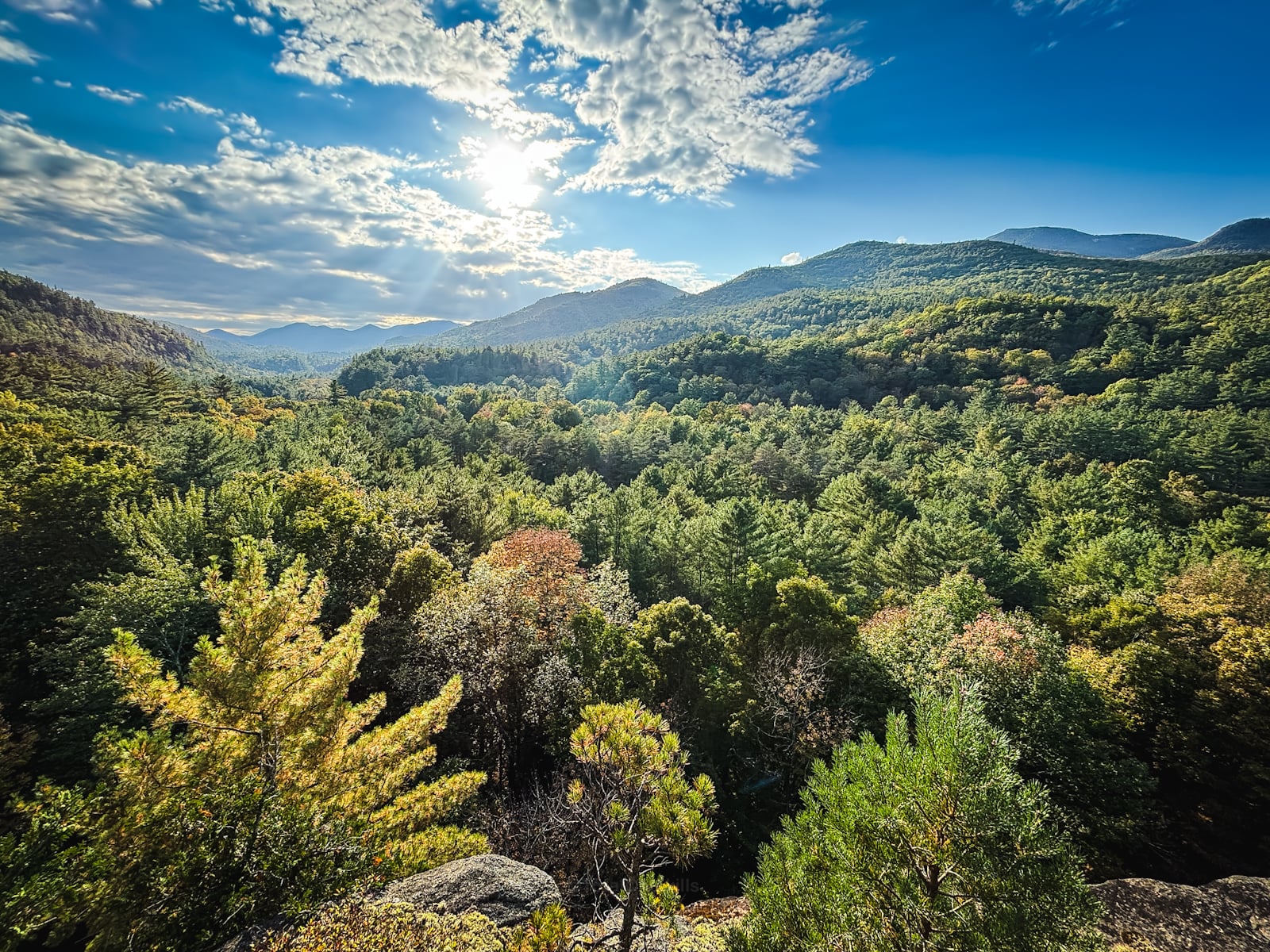 Adirondack Fall Foliage 2024