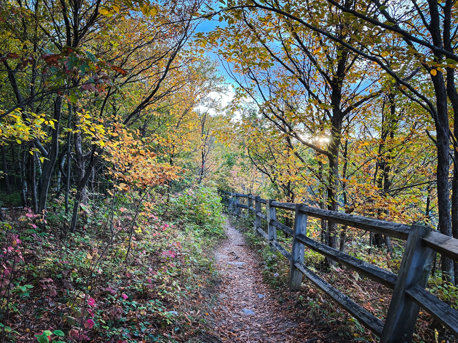 Fall Foliage 2024 Catskills Helderbergs Adirondacks