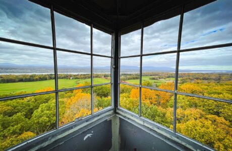 Ferncliff Forest Fire Tower view