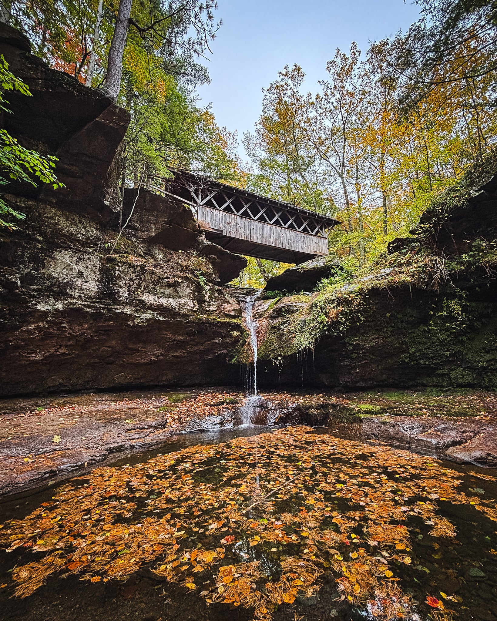 Catskills Fall Foliage 2024