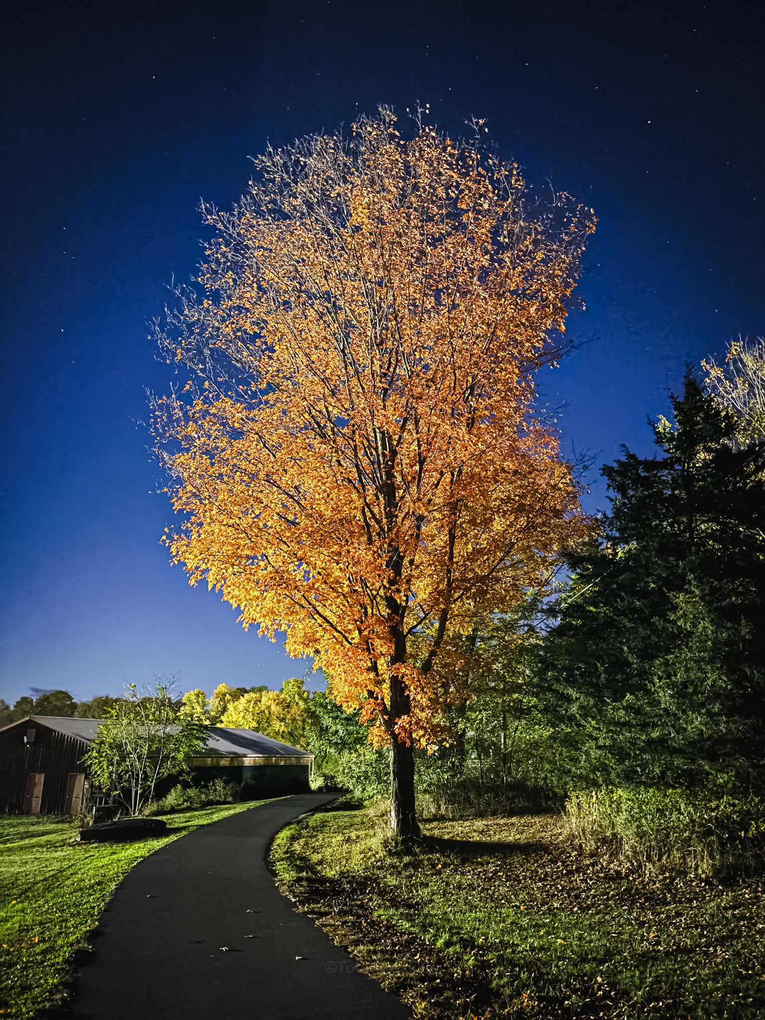 Catskills Fall Foliage 2024