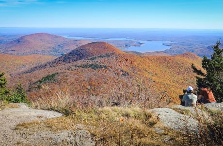 Catskills Fall Foliage 2024