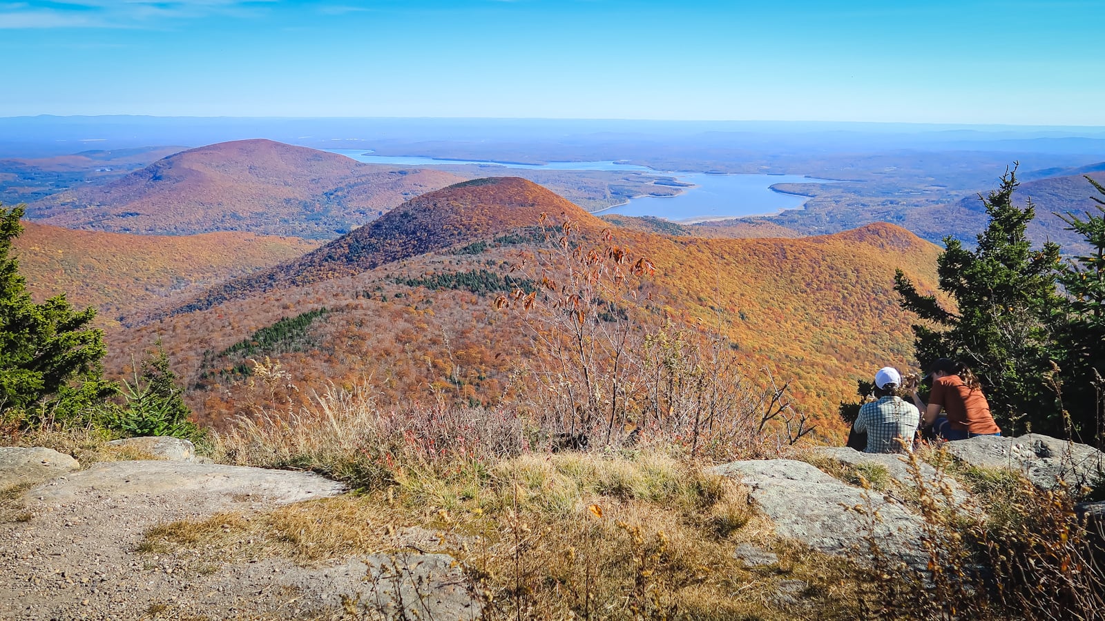 Catskills Fall Foliage 2024