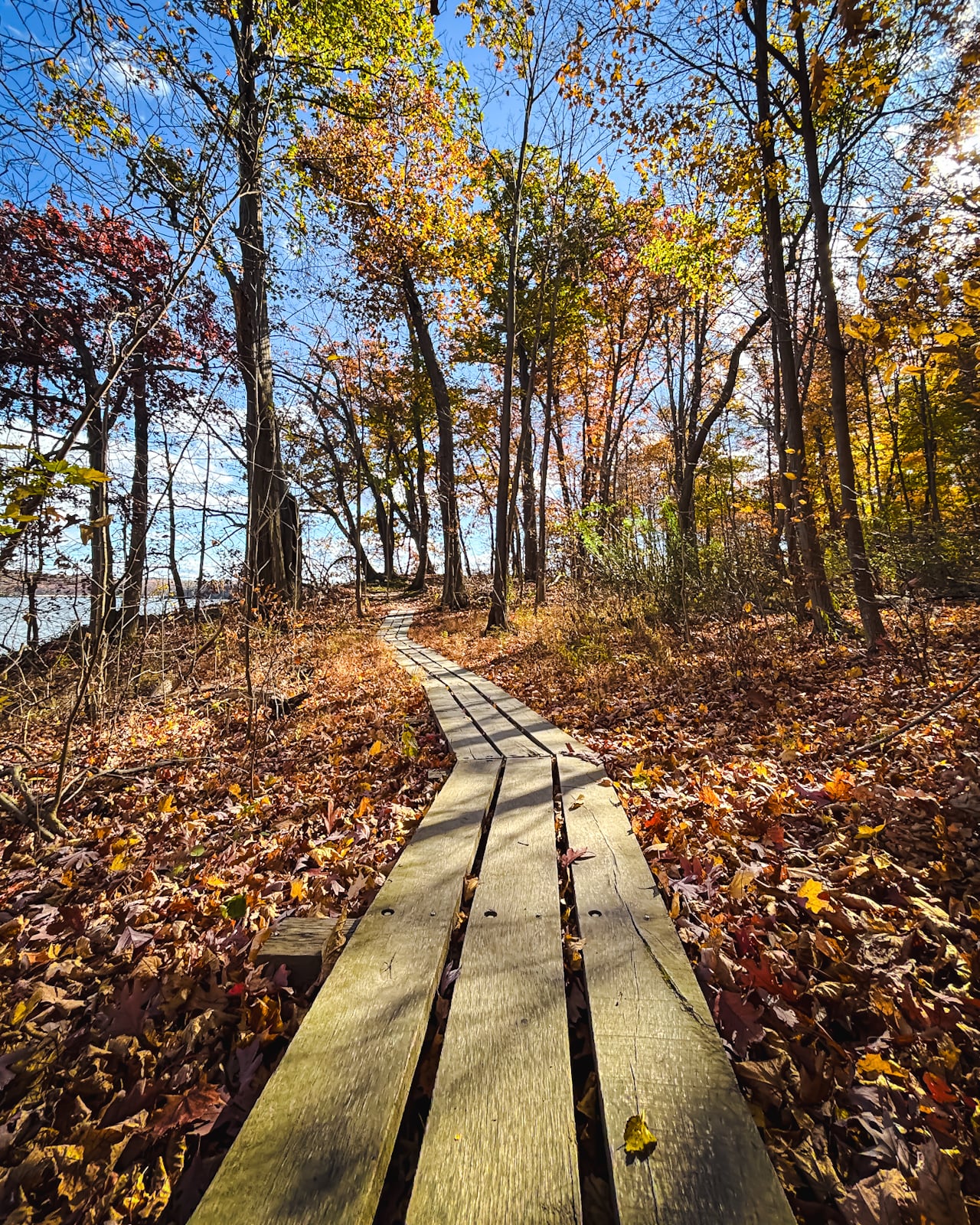 Falling Waters Preserve, Saugerties