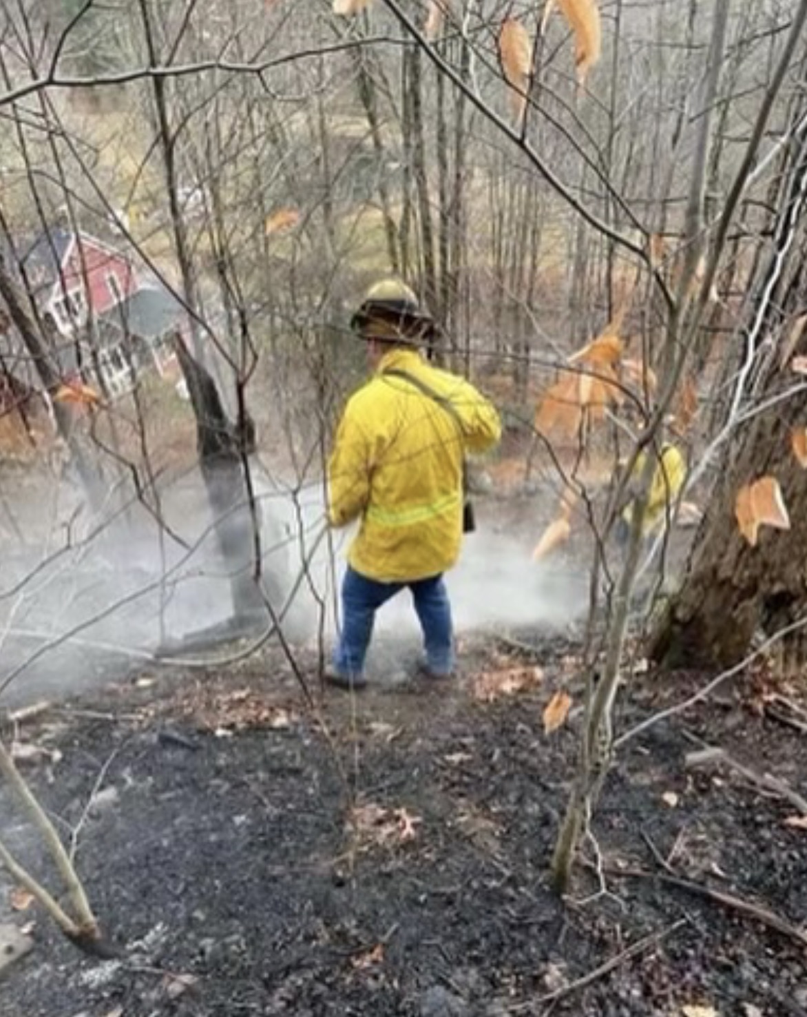 Whitehouse Fire, Denning, NY