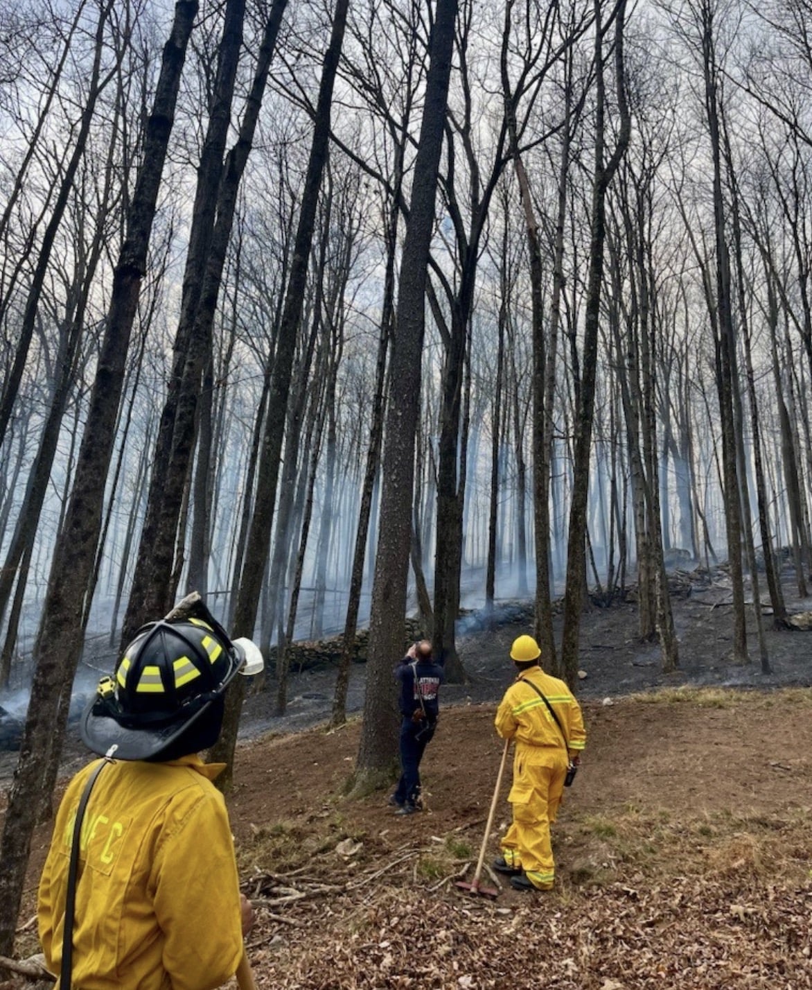 Whitehouse Fire, Denning, NY