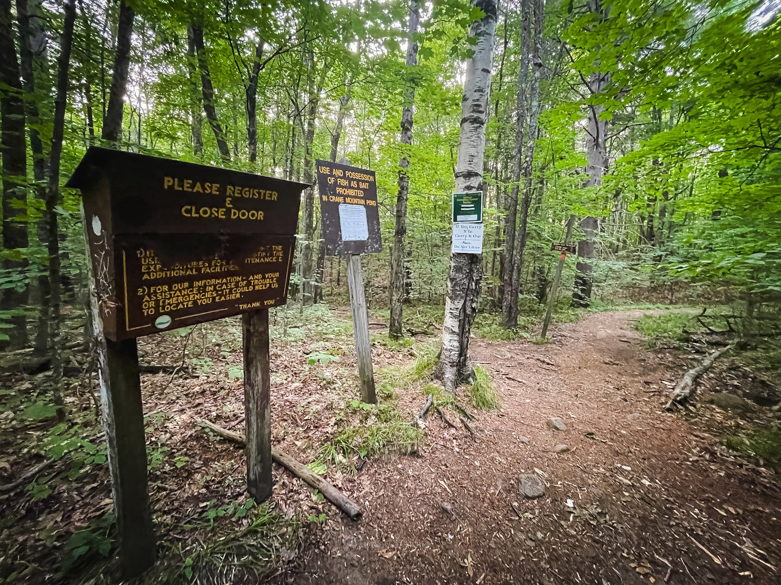 Crane Mountain Hike, Adirondacks