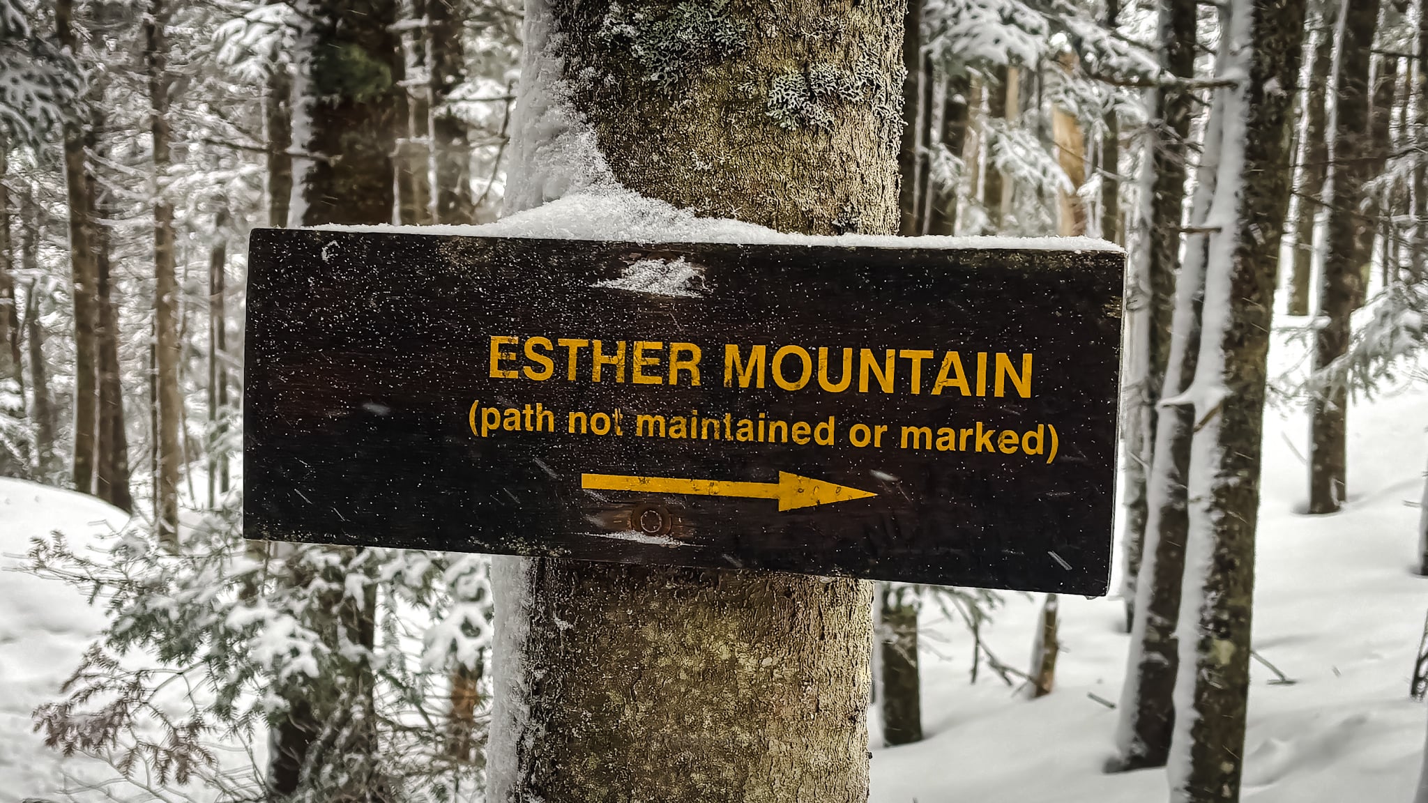 Esther Mountain Adirondack trail sign