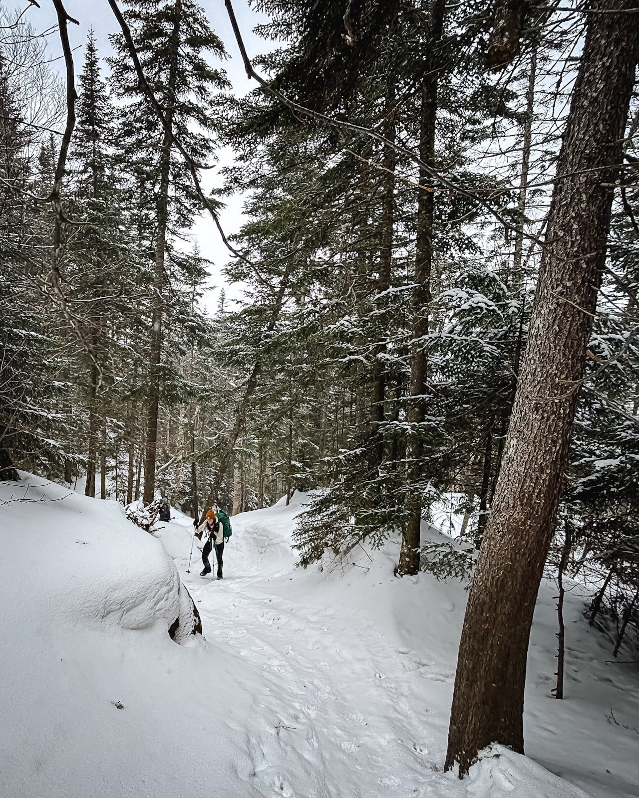 Ampersand Mountain in the Adirondacks
