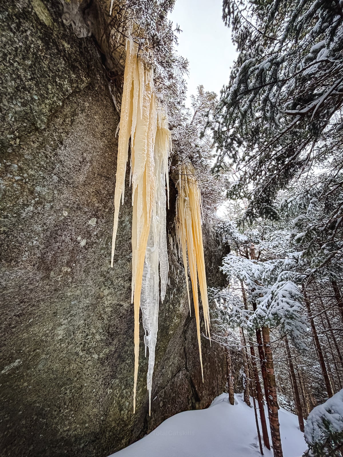 Giant icicles hanging on Ampersand Mountain in the Adirondacks