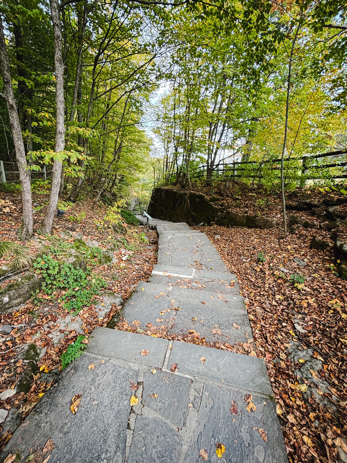 Indian Ladder Trail, Thacher State Park
