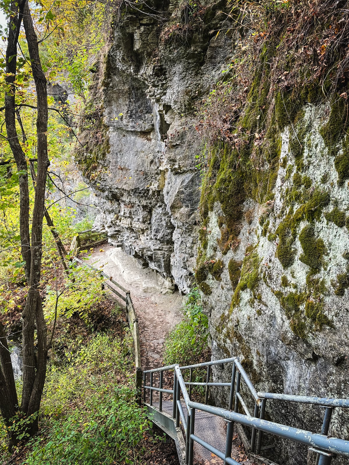 Indian Ladder Trail, Thacher State Park