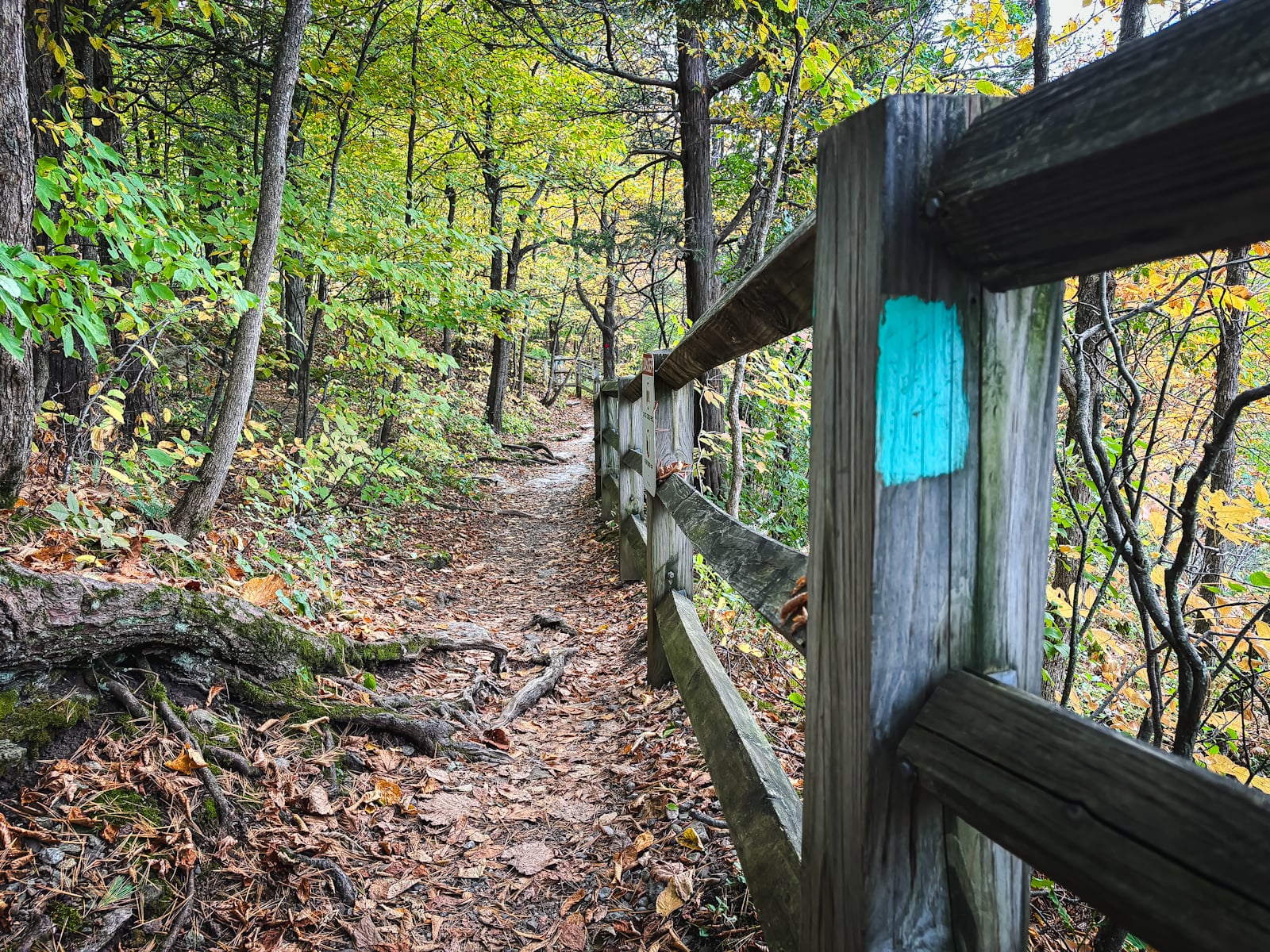 Indian Ladder Trail, Thacher State Park